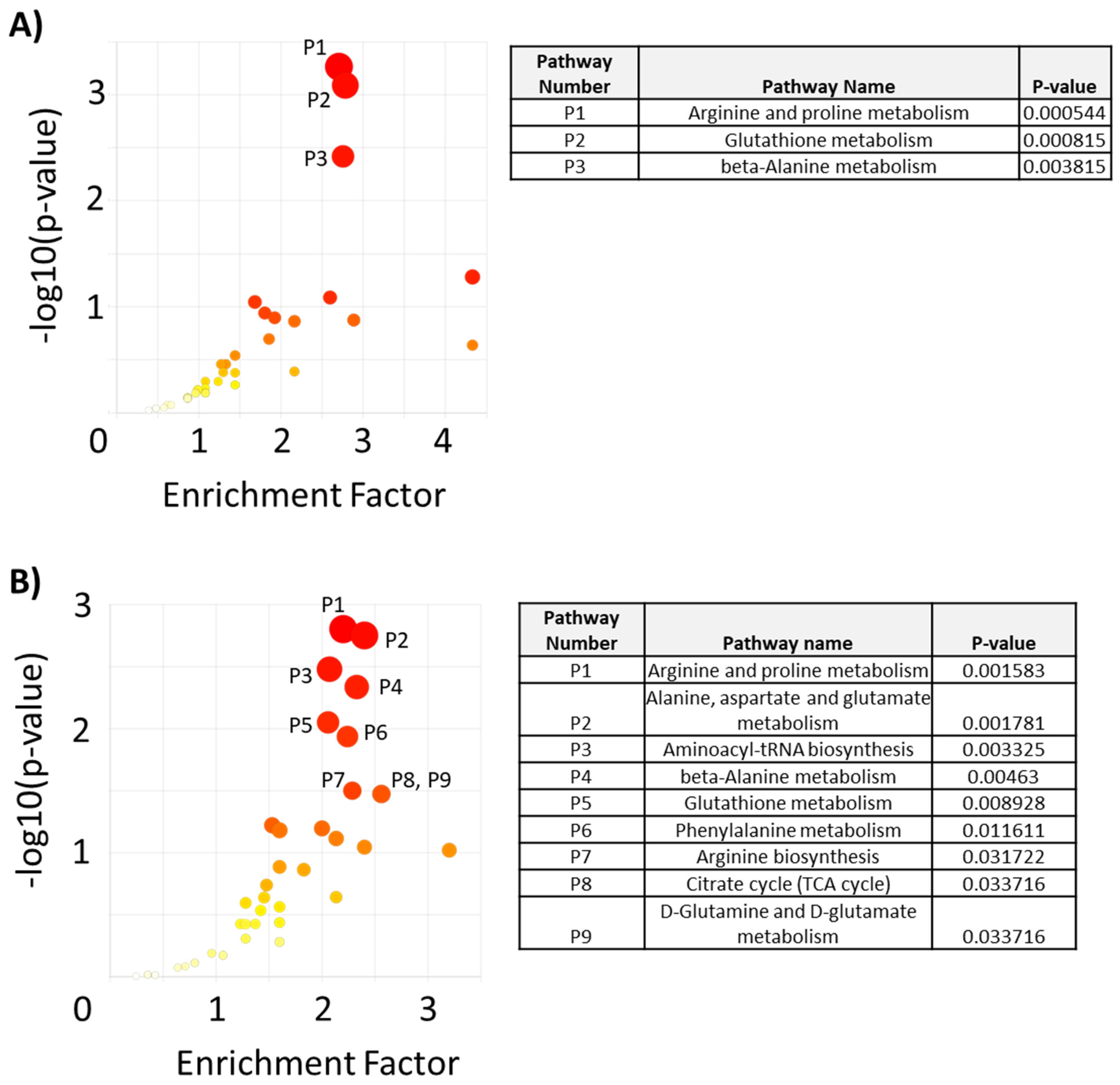 Metabolites 13 00865 g003