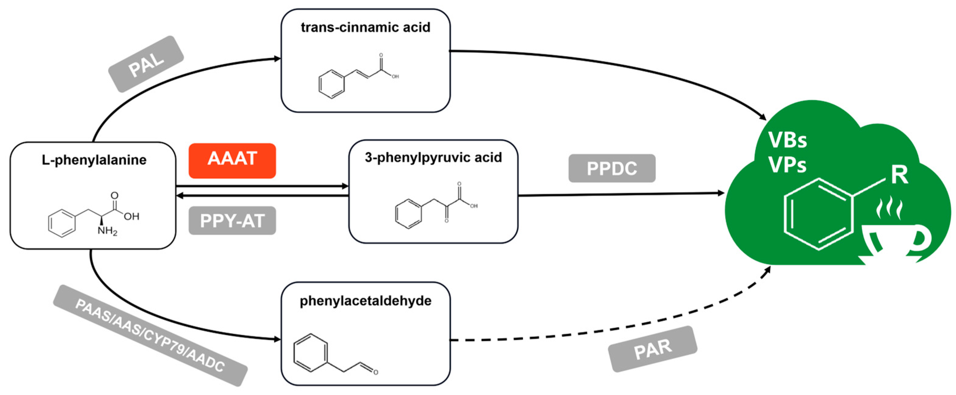 Metabolites 13 00868 g001