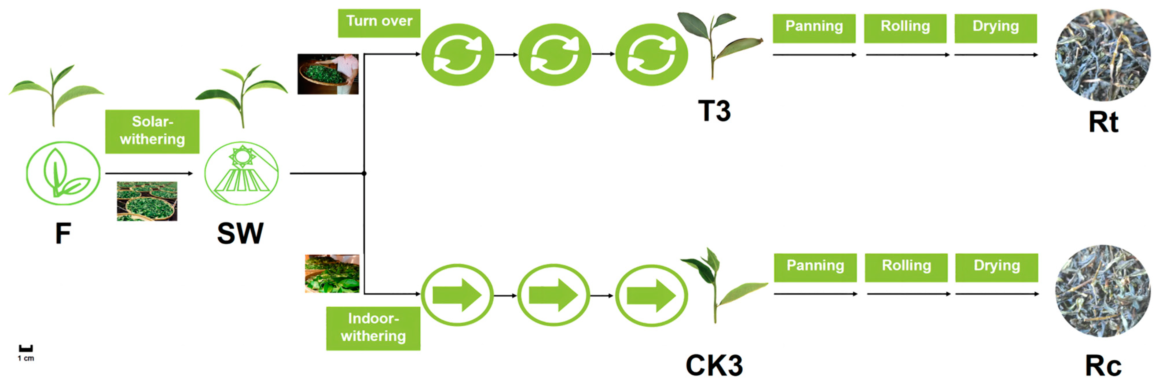 Metabolites 13 00868 g002