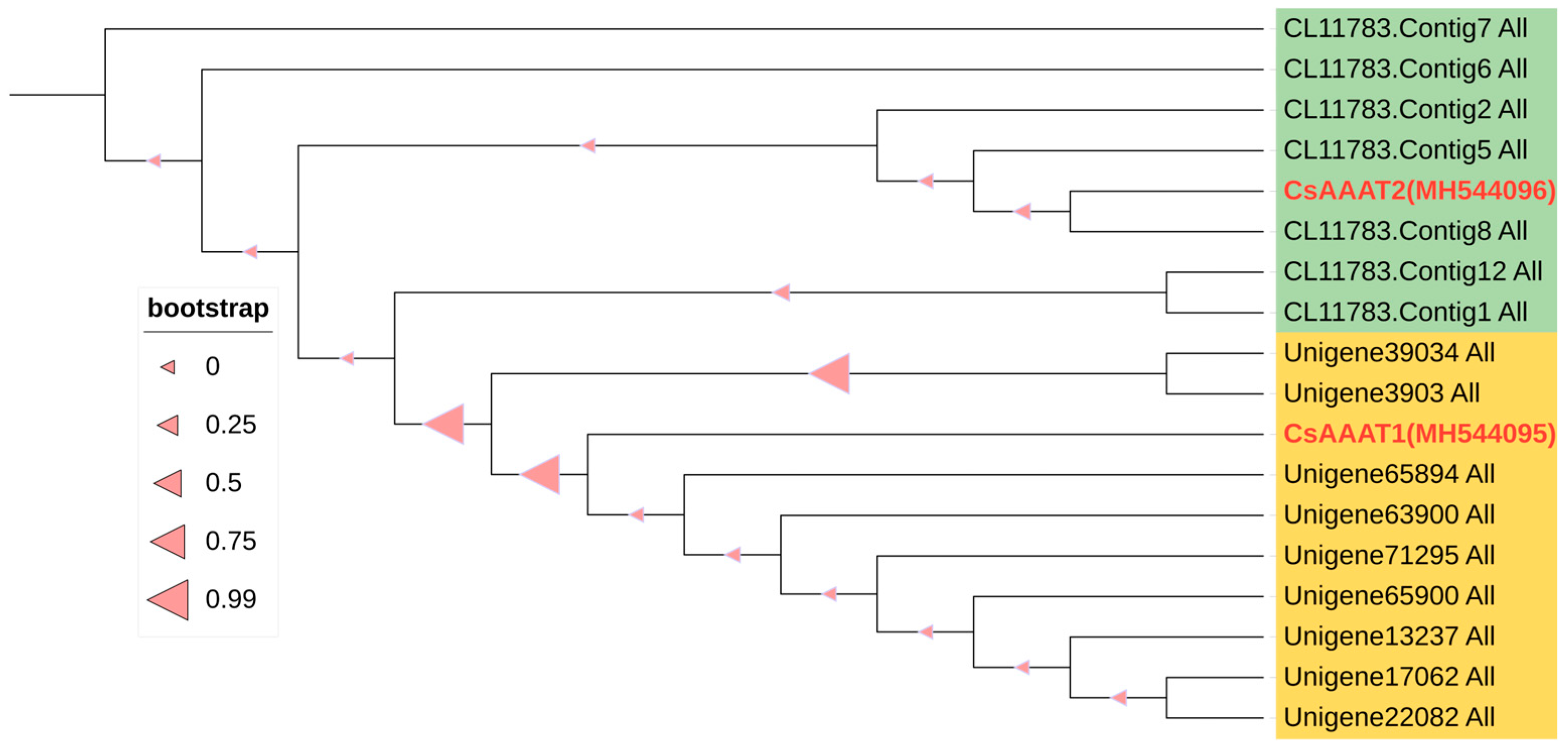Metabolites 13 00868 g005