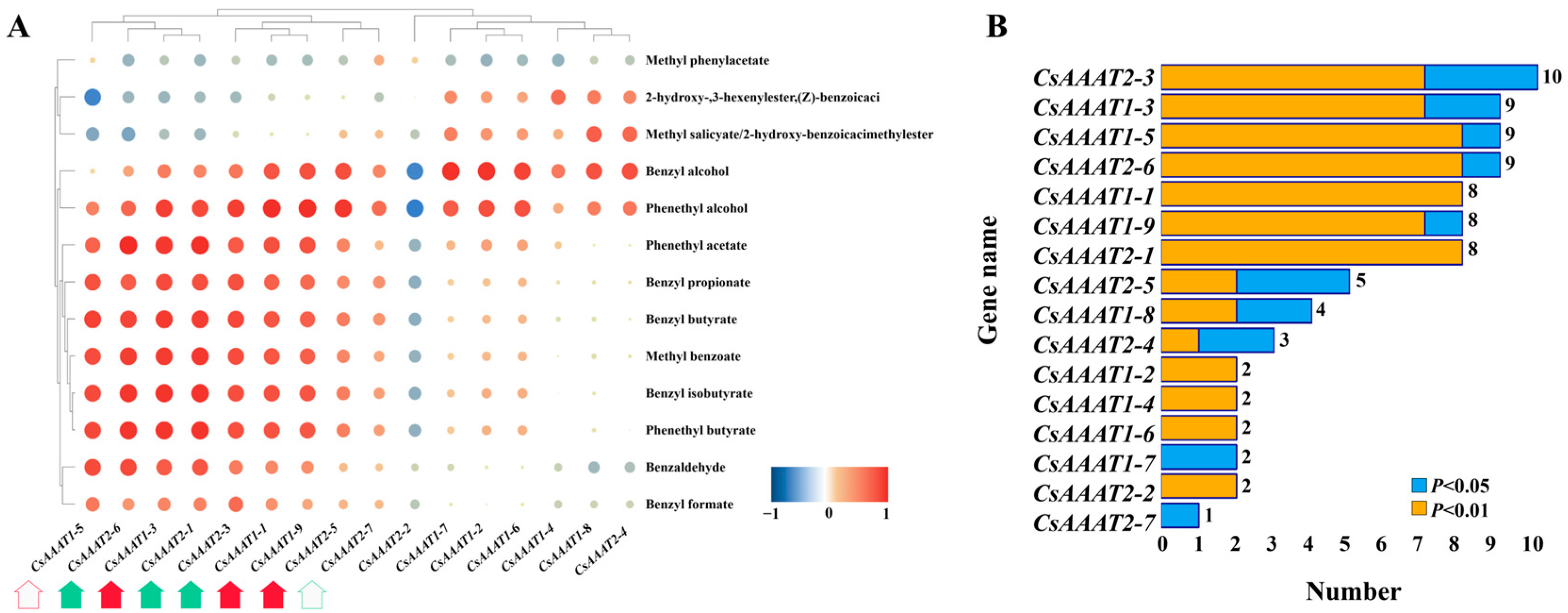 Metabolites 13 00868 g008