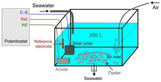 Metabolites 13 00869 g001