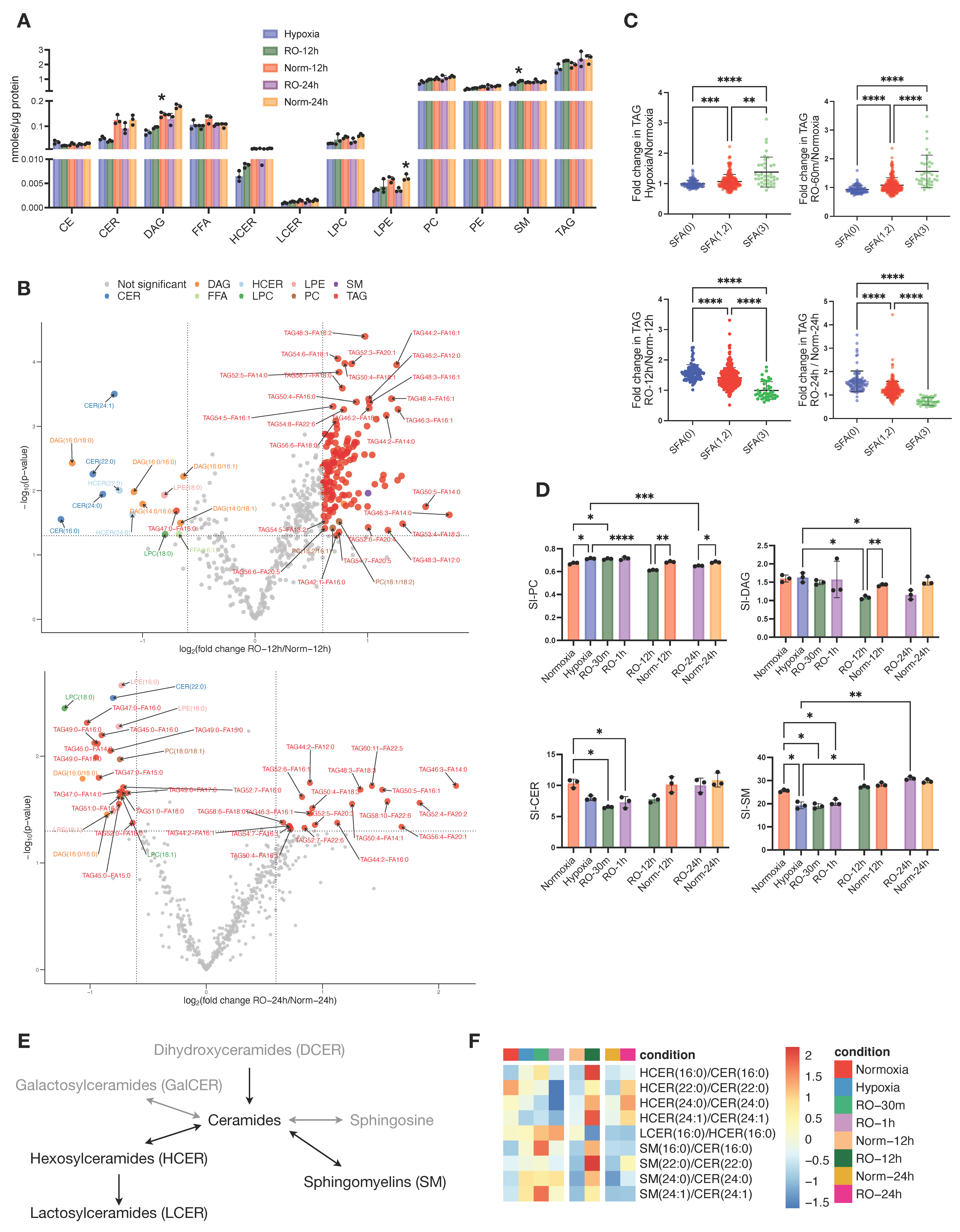 Metabolites 13 00875 g004