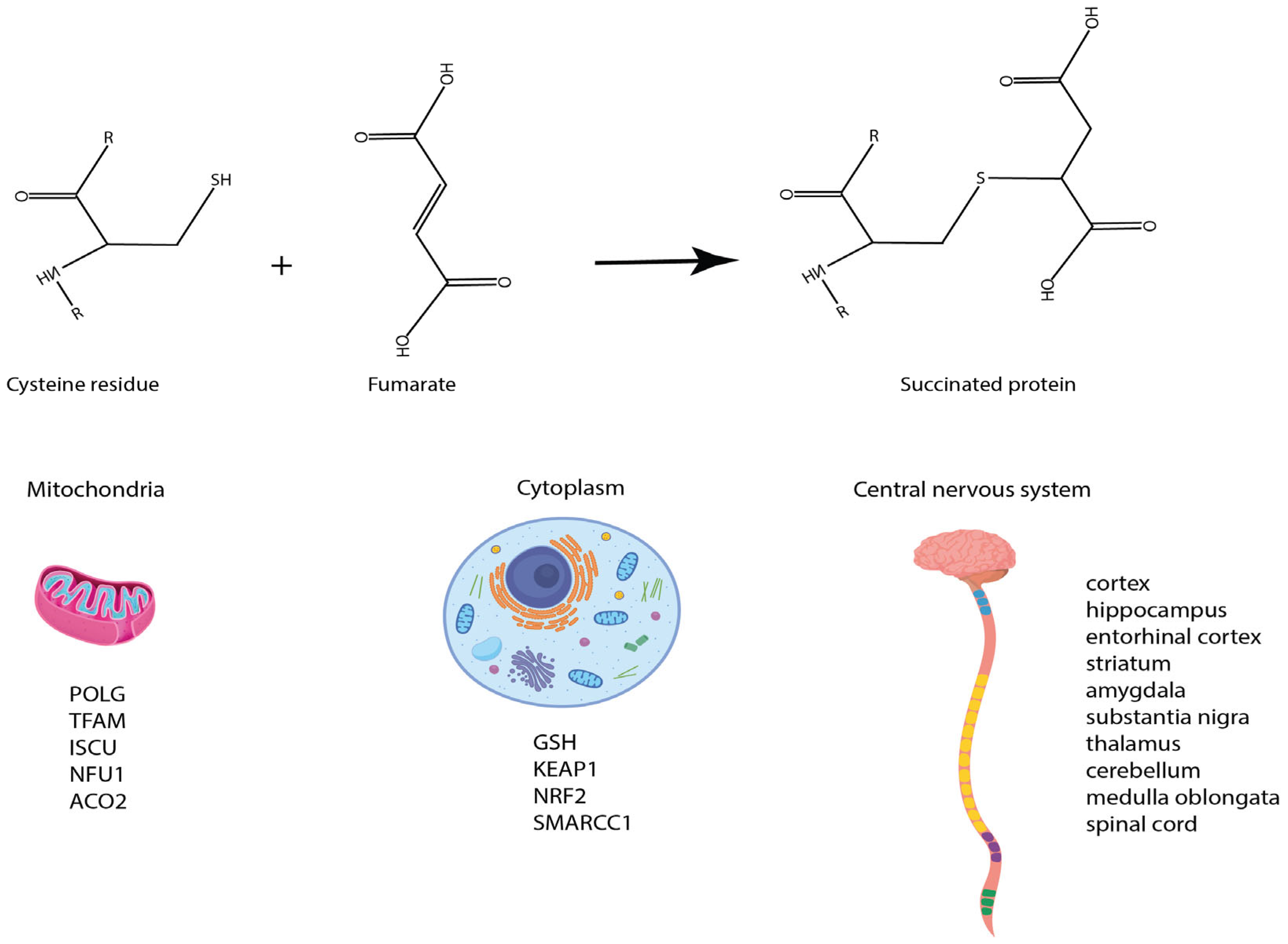 Metabolites 13 00880 g002