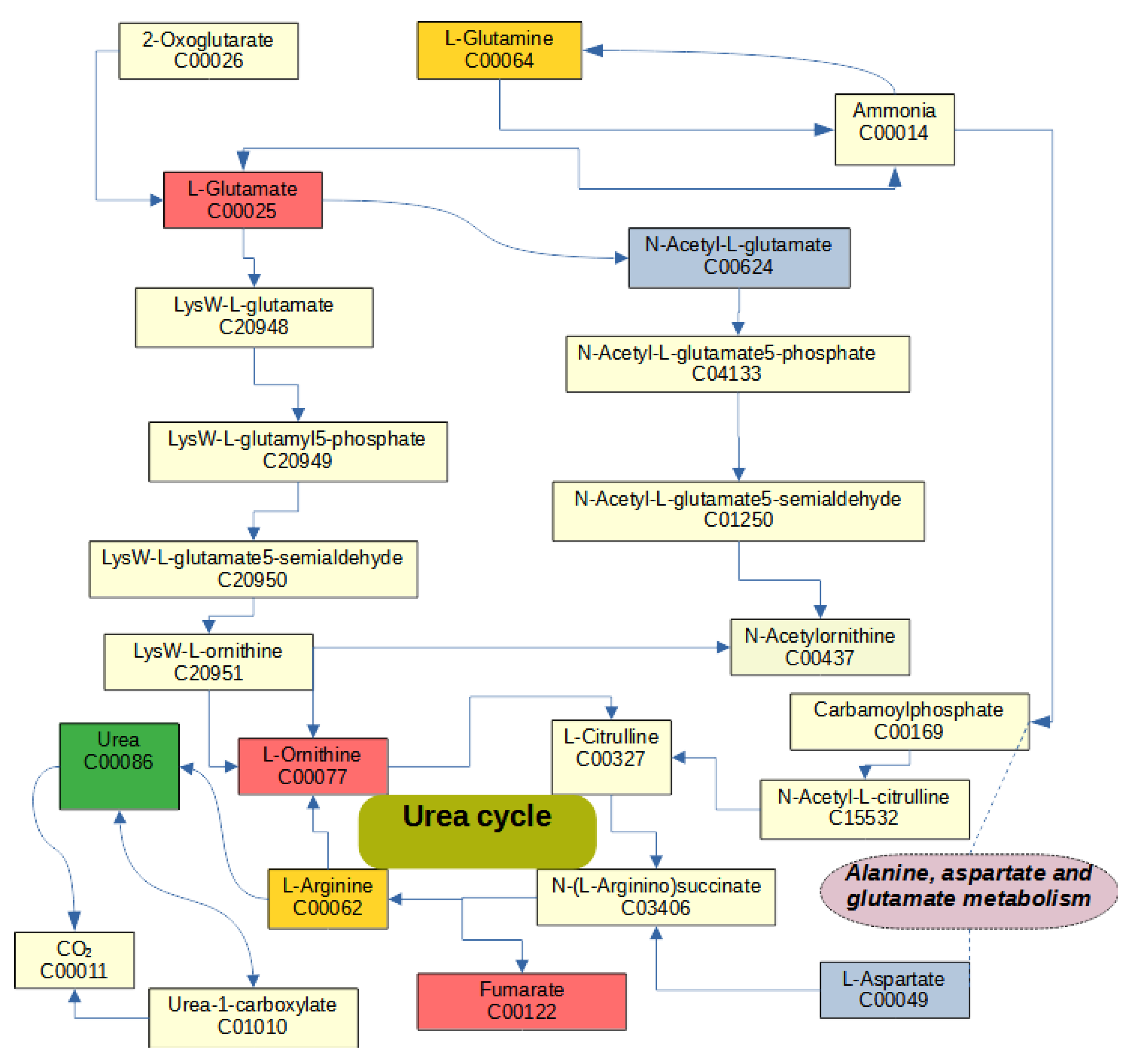 Metabolites 13 00881 g001 Metabolites 13 00881 g001