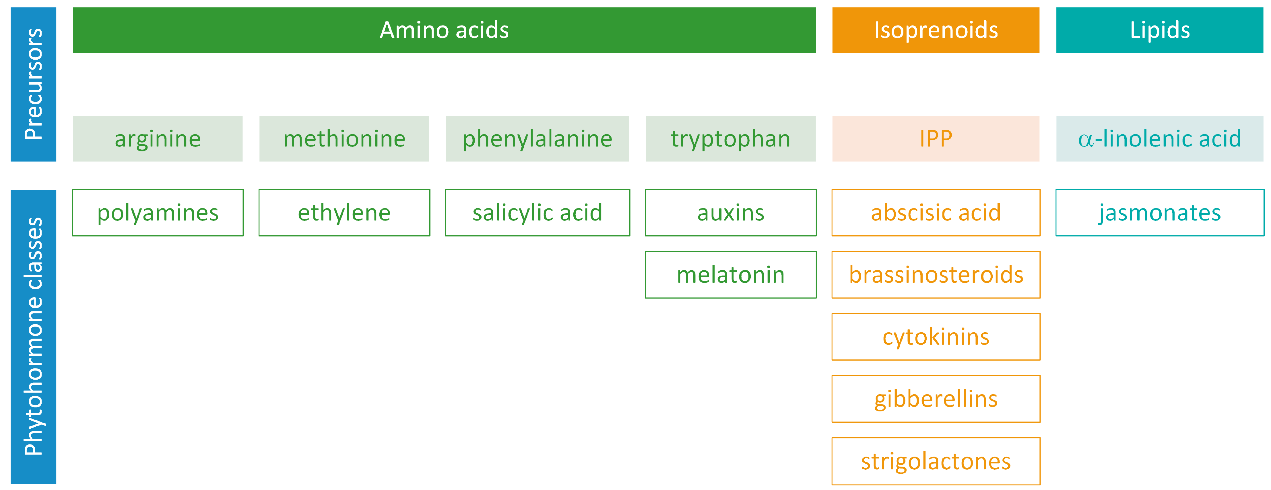 Metabolites 13 00884 g001 Metabolites 13 00884 g001