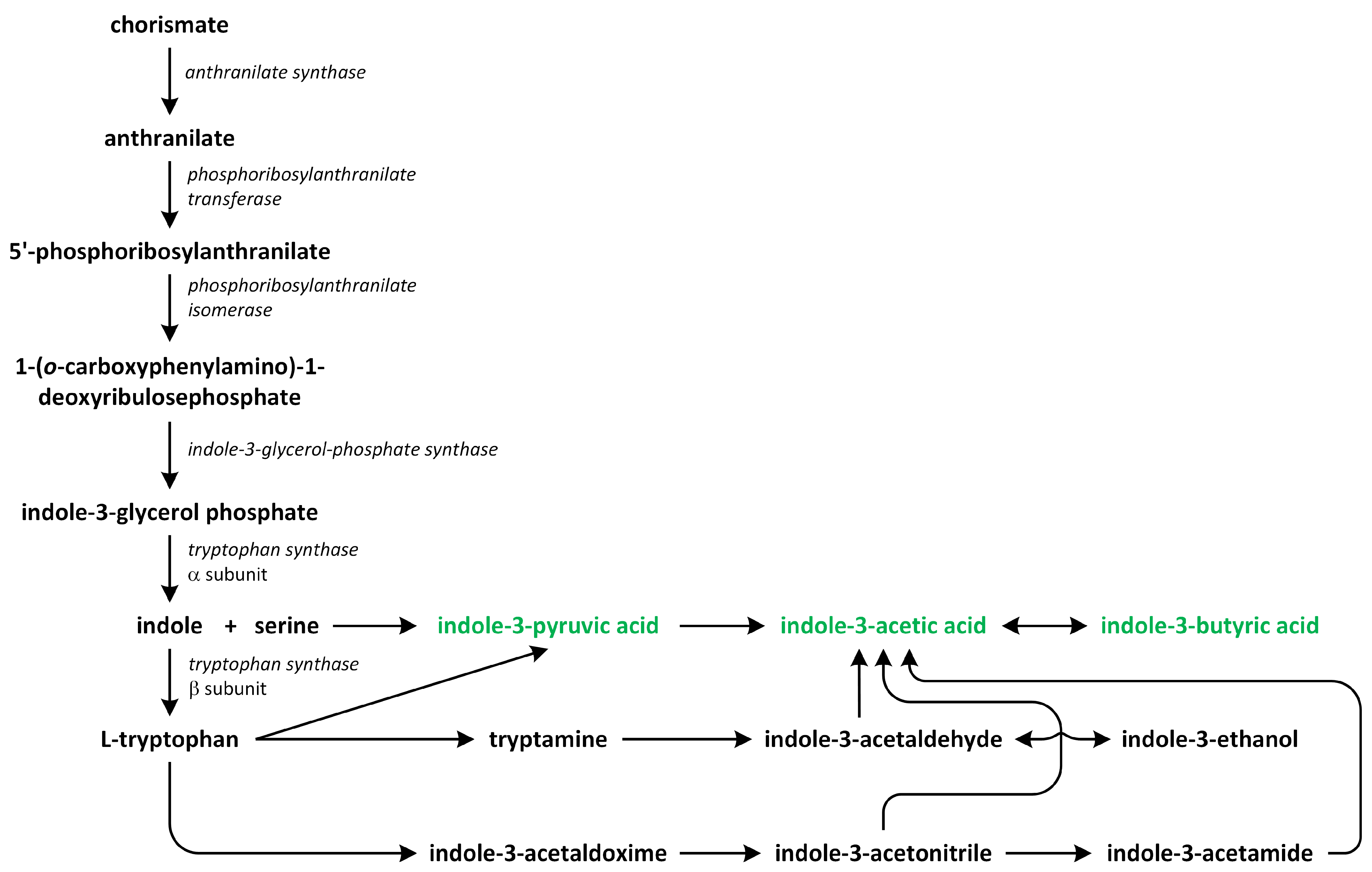 Metabolites 13 00884 g005 Metabolites 13 00884 g005