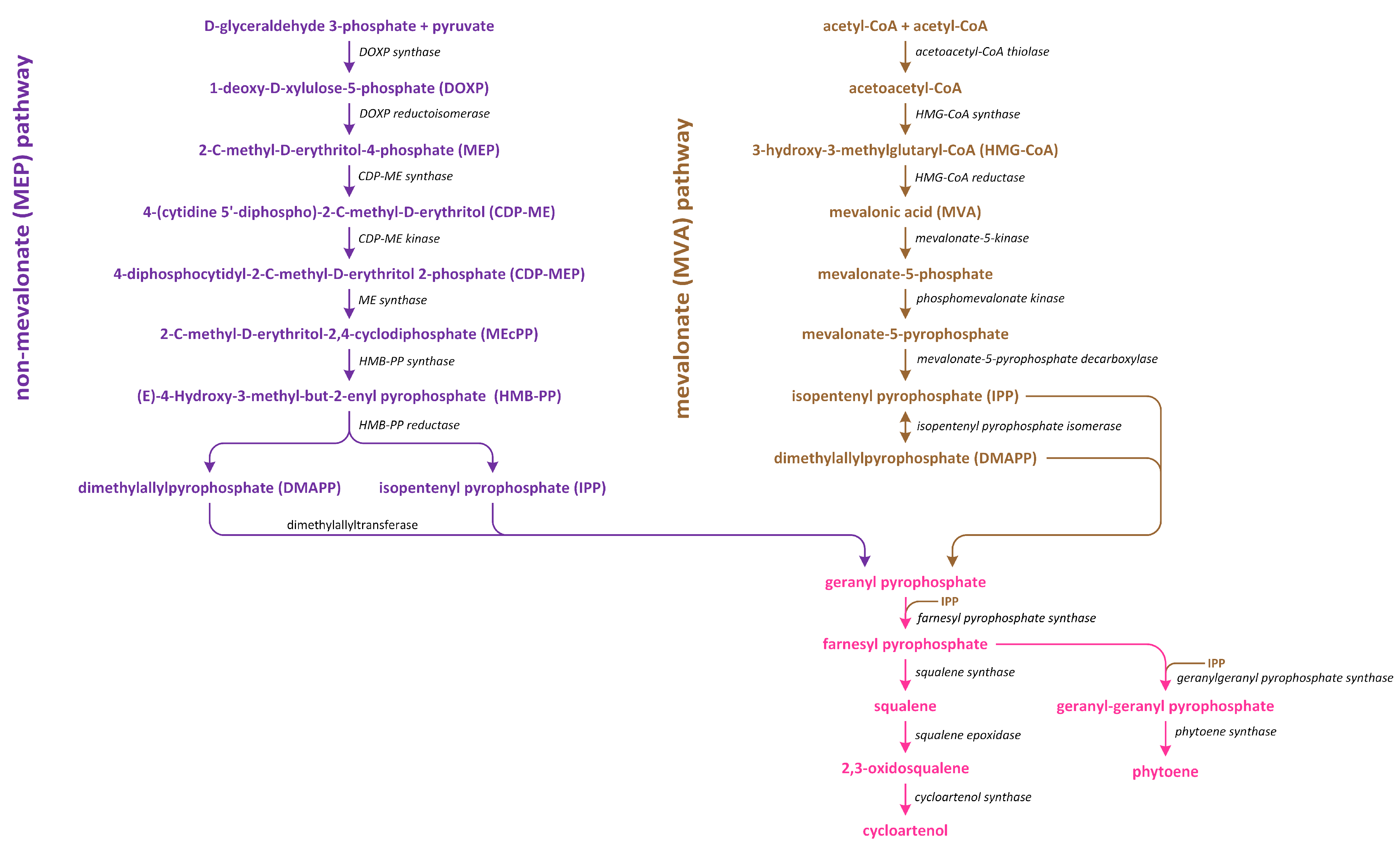 Metabolites 13 00884 g007 Metabolites 13 00884 g007