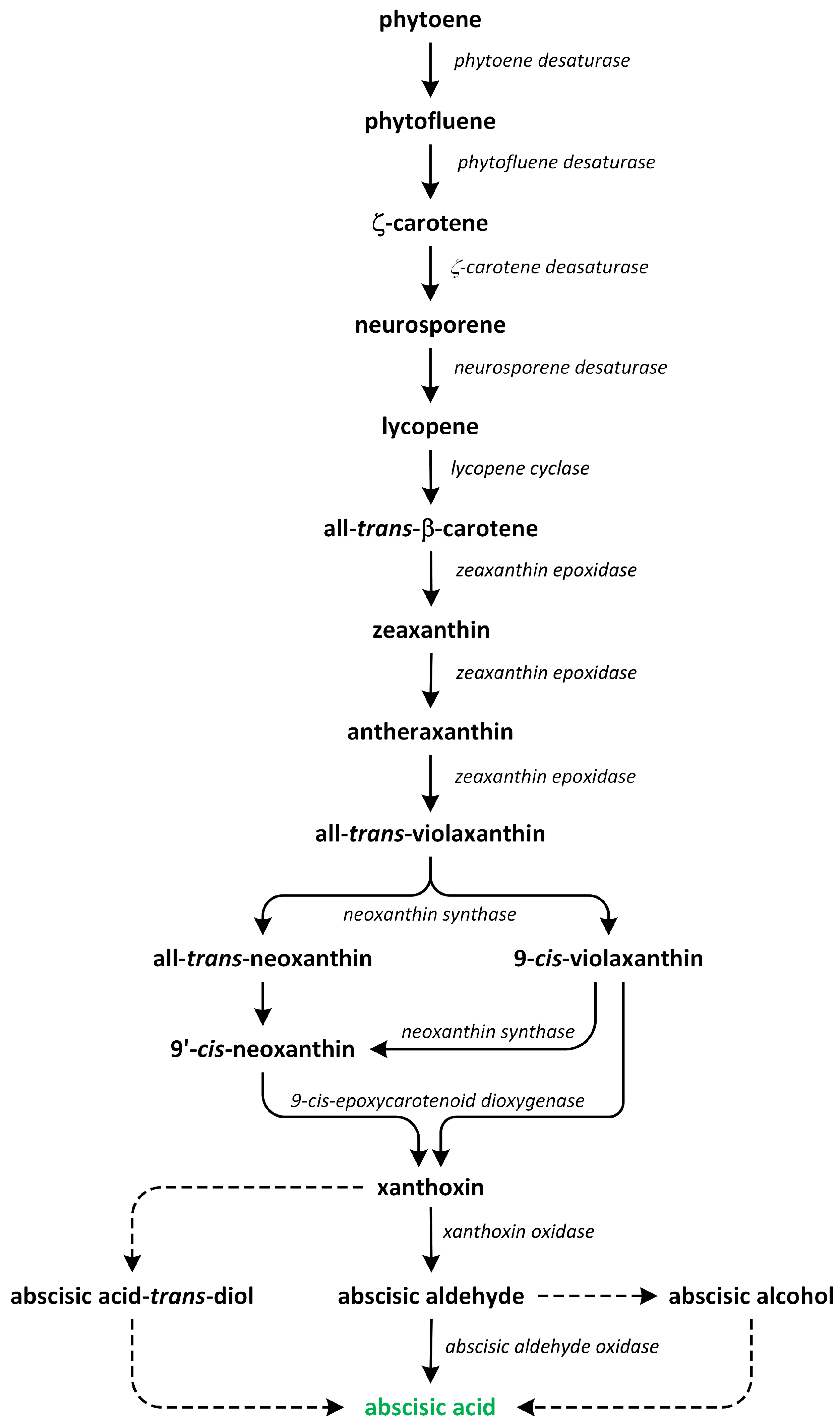 Metabolites 13 00884 g008 Metabolites 13 00884 g008