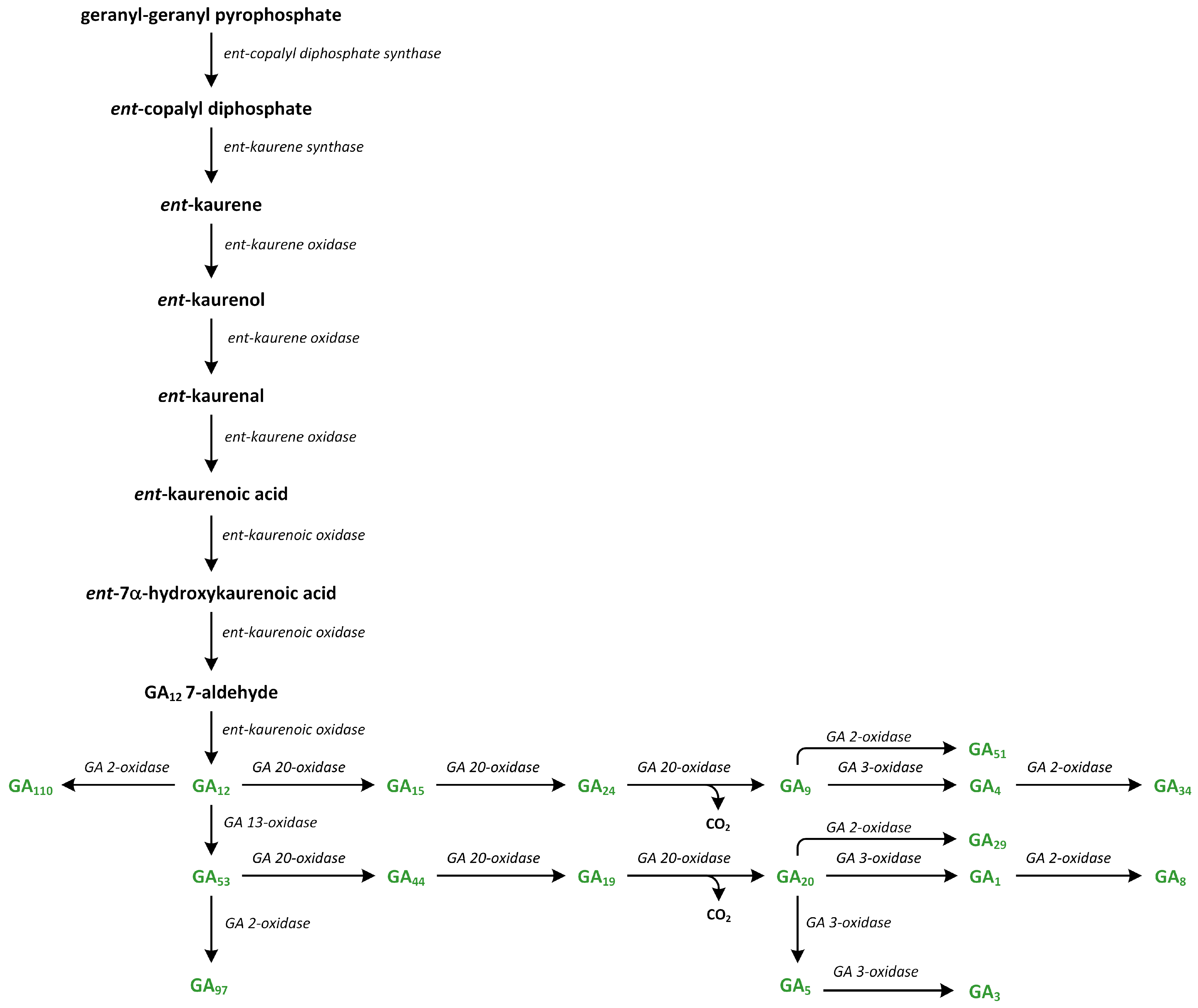 Metabolites 13 00884 g011 Metabolites 13 00884 g011