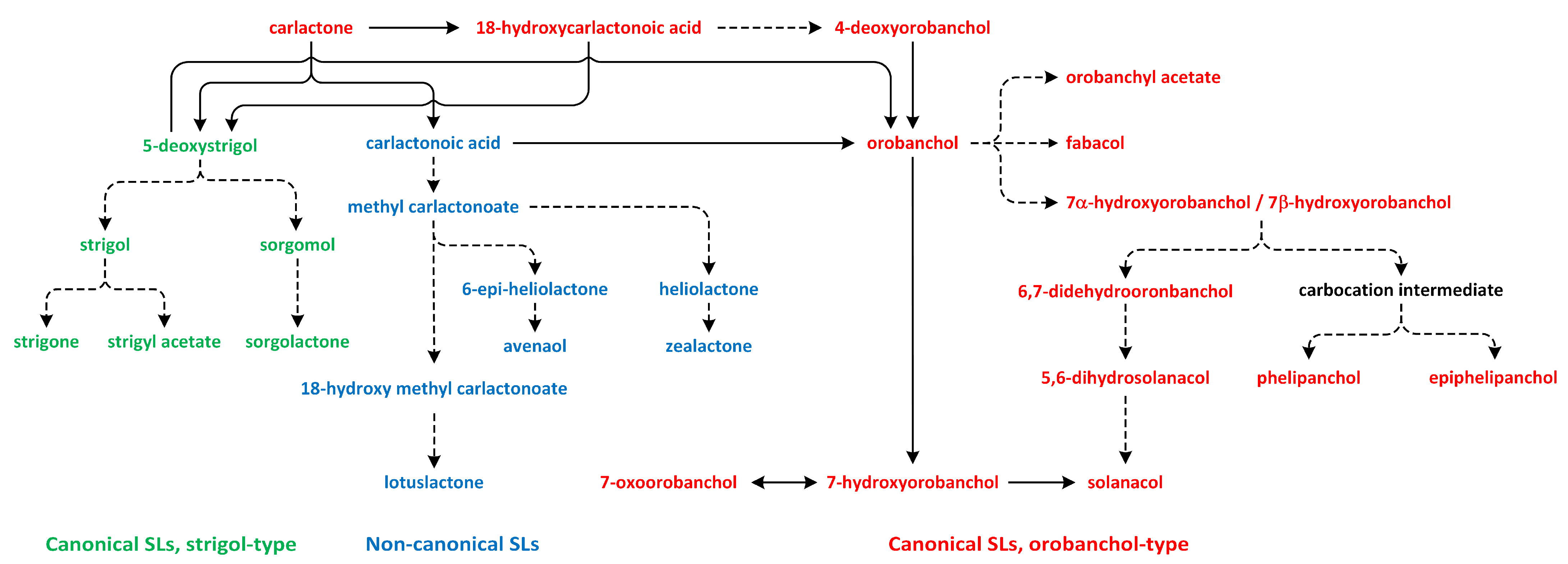 Metabolites 13 00884 g013 Metabolites 13 00884 g013