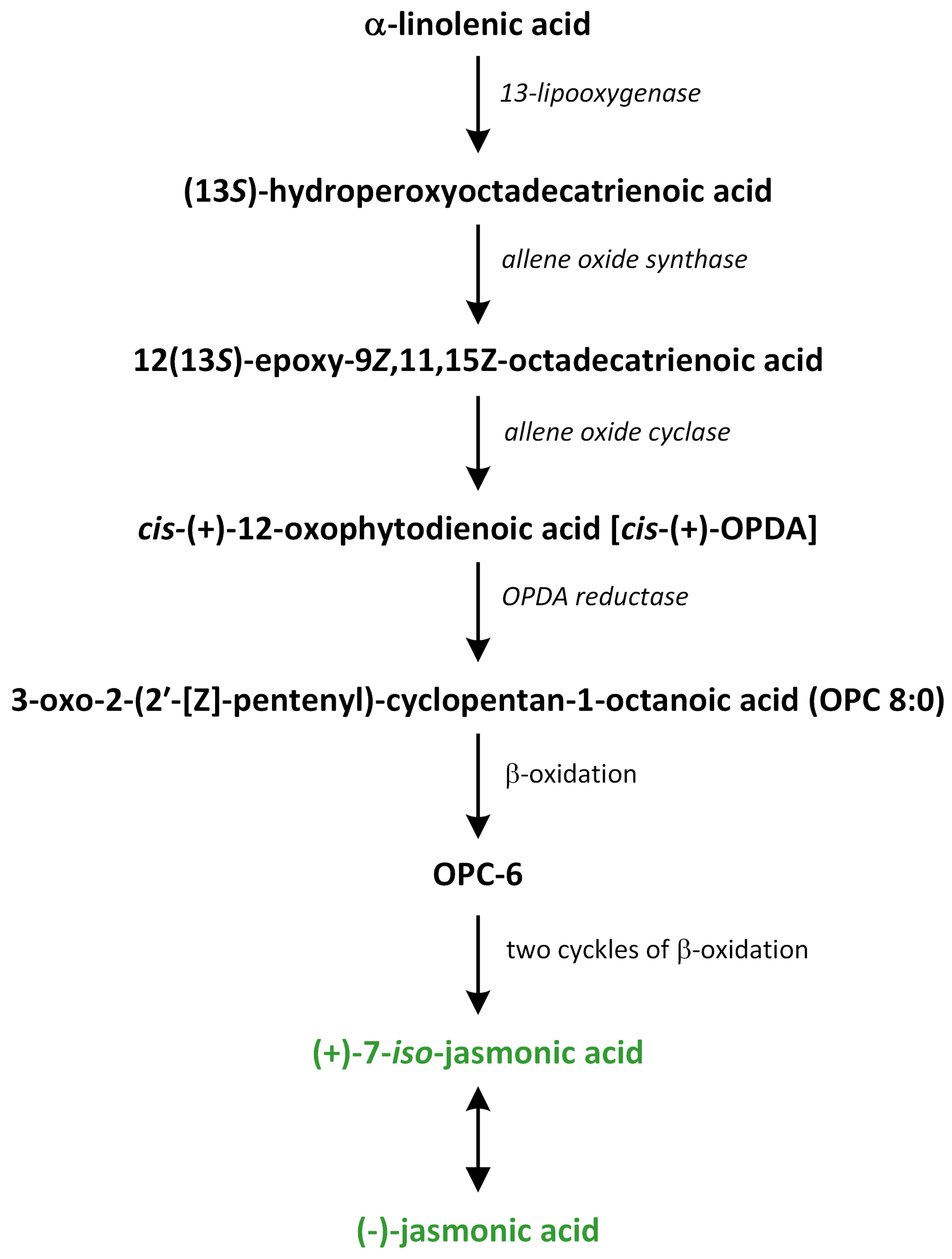 Metabolites 13 00884 g014 Metabolites 13 00884 g014