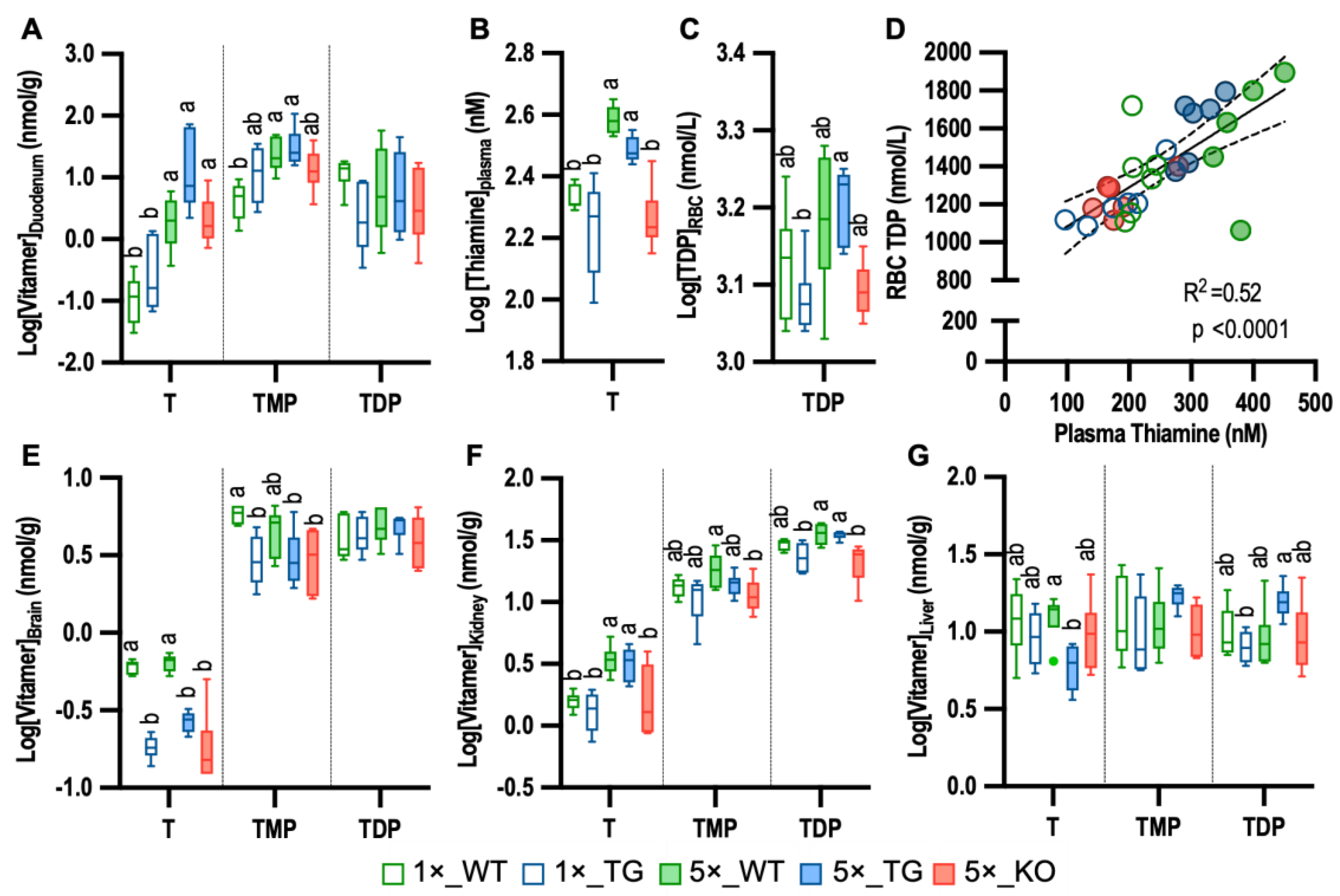 Metabolites 13 00885 g001