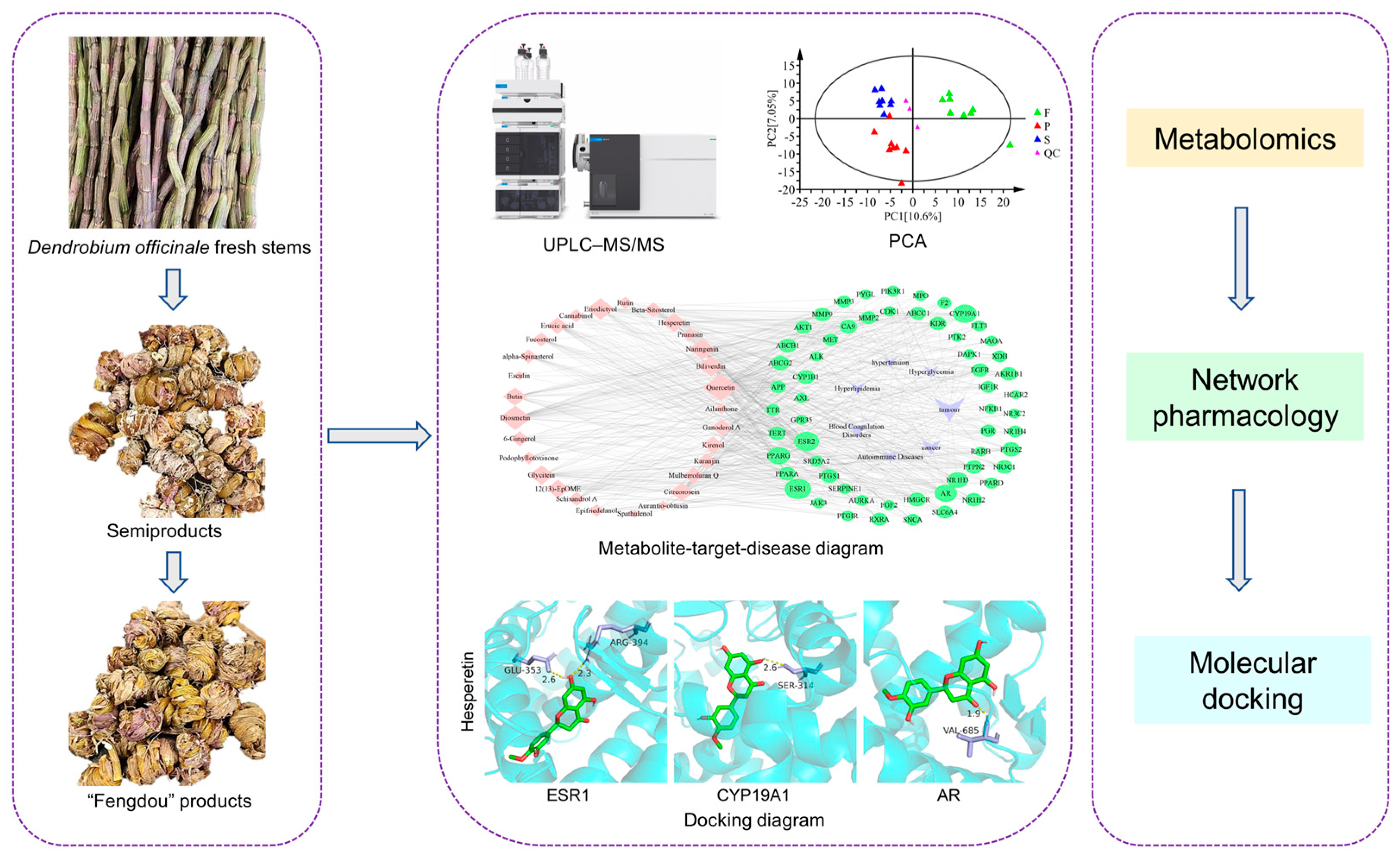 Metabolites 13 00886 g001
