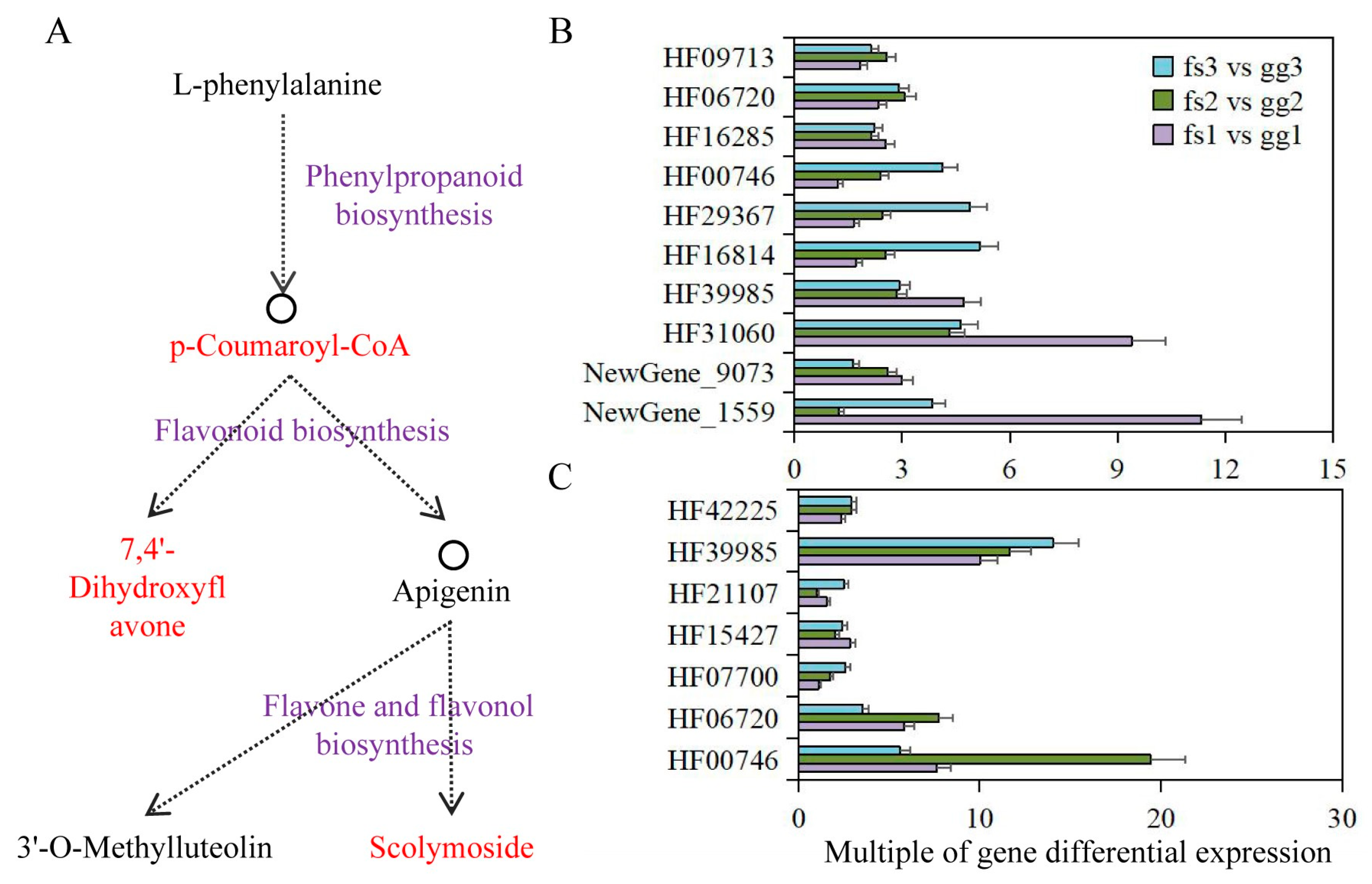 Metabolites 13 00891 g007
