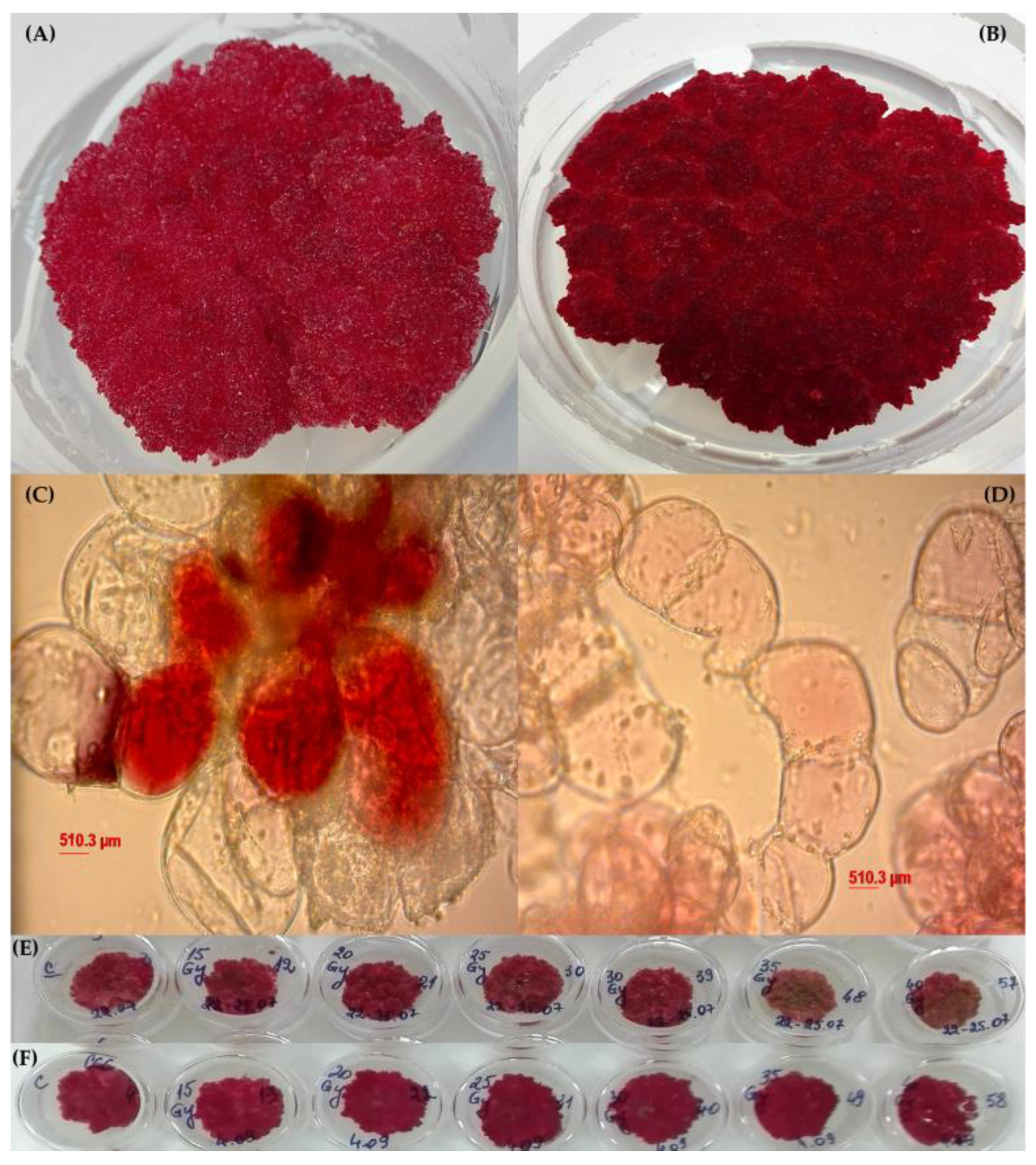 Metabolites 13 00894 g001