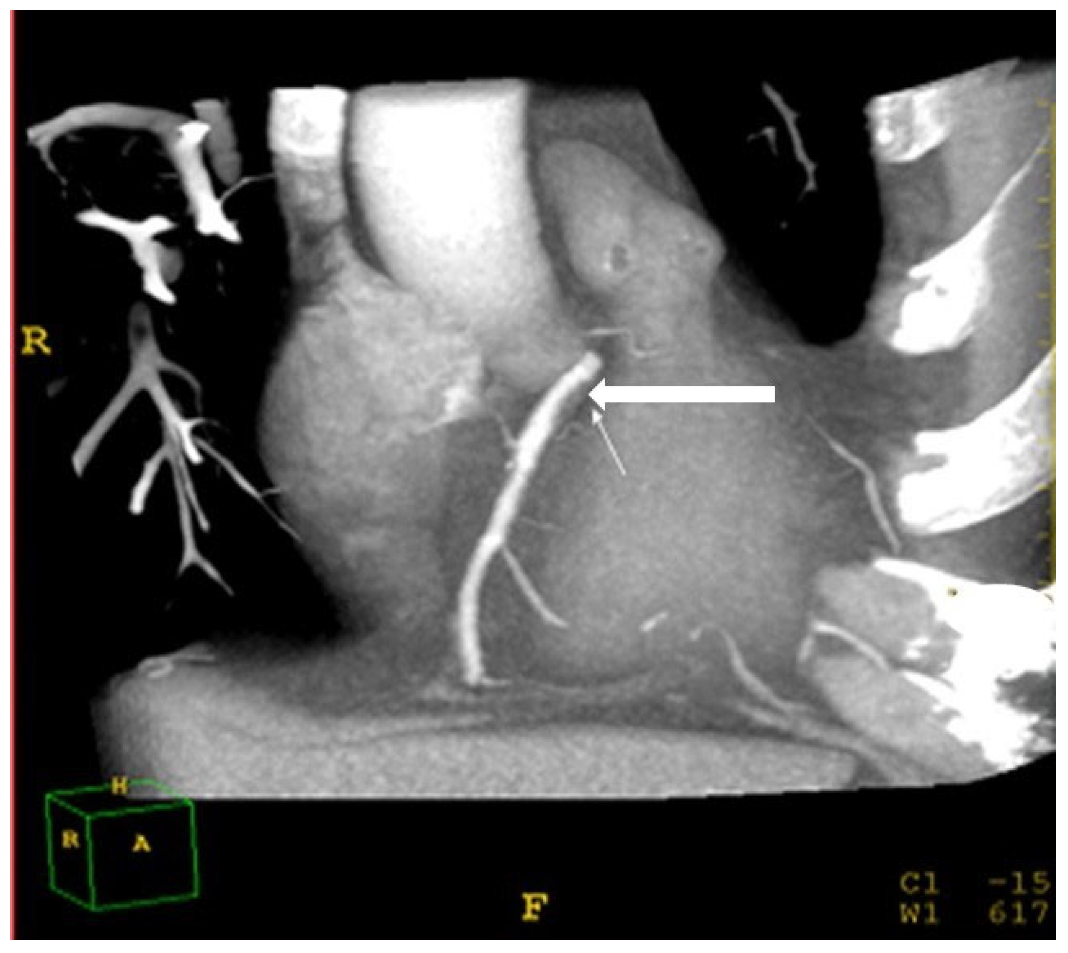 Metabolites 13 00896 g005