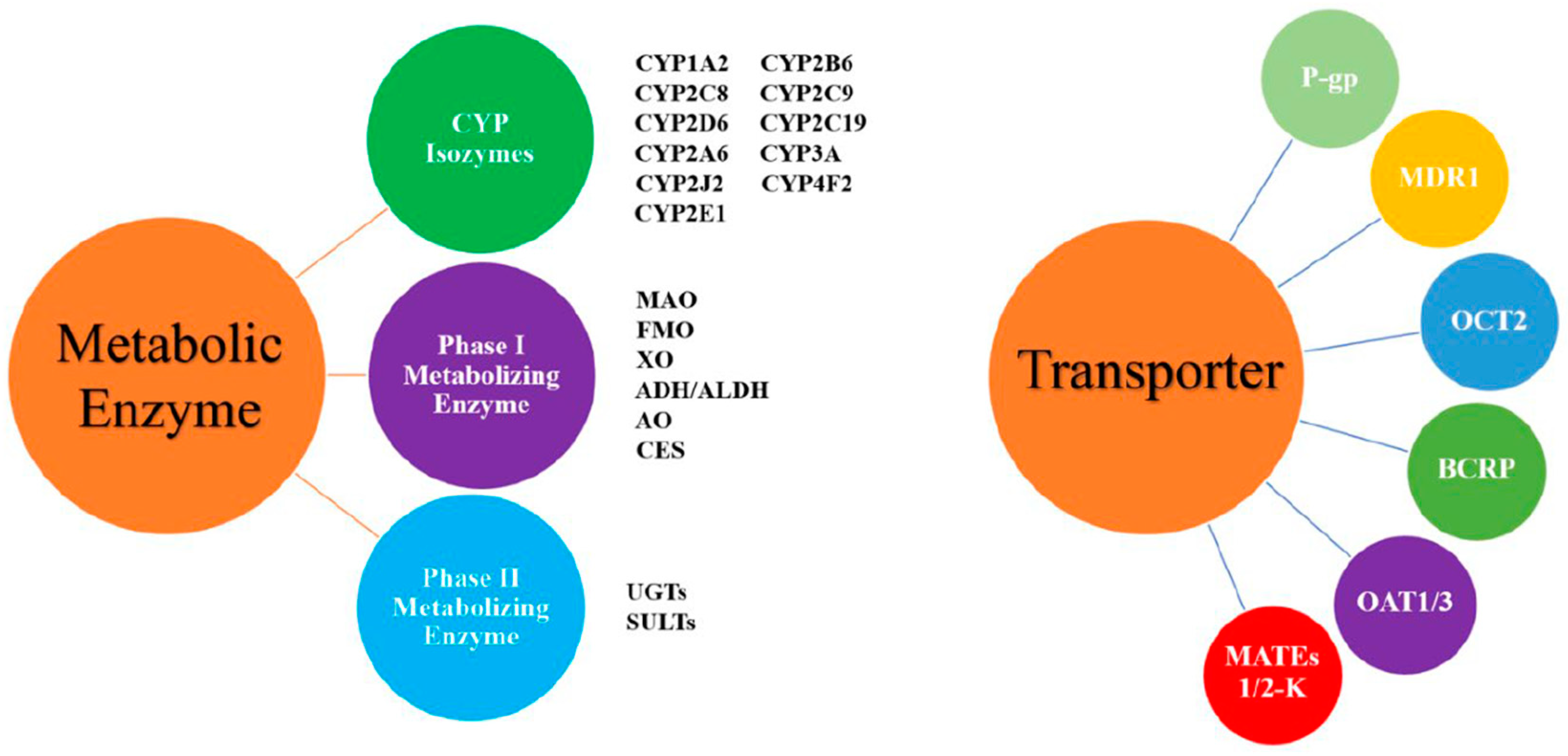 Metabolites 13 00897 g002