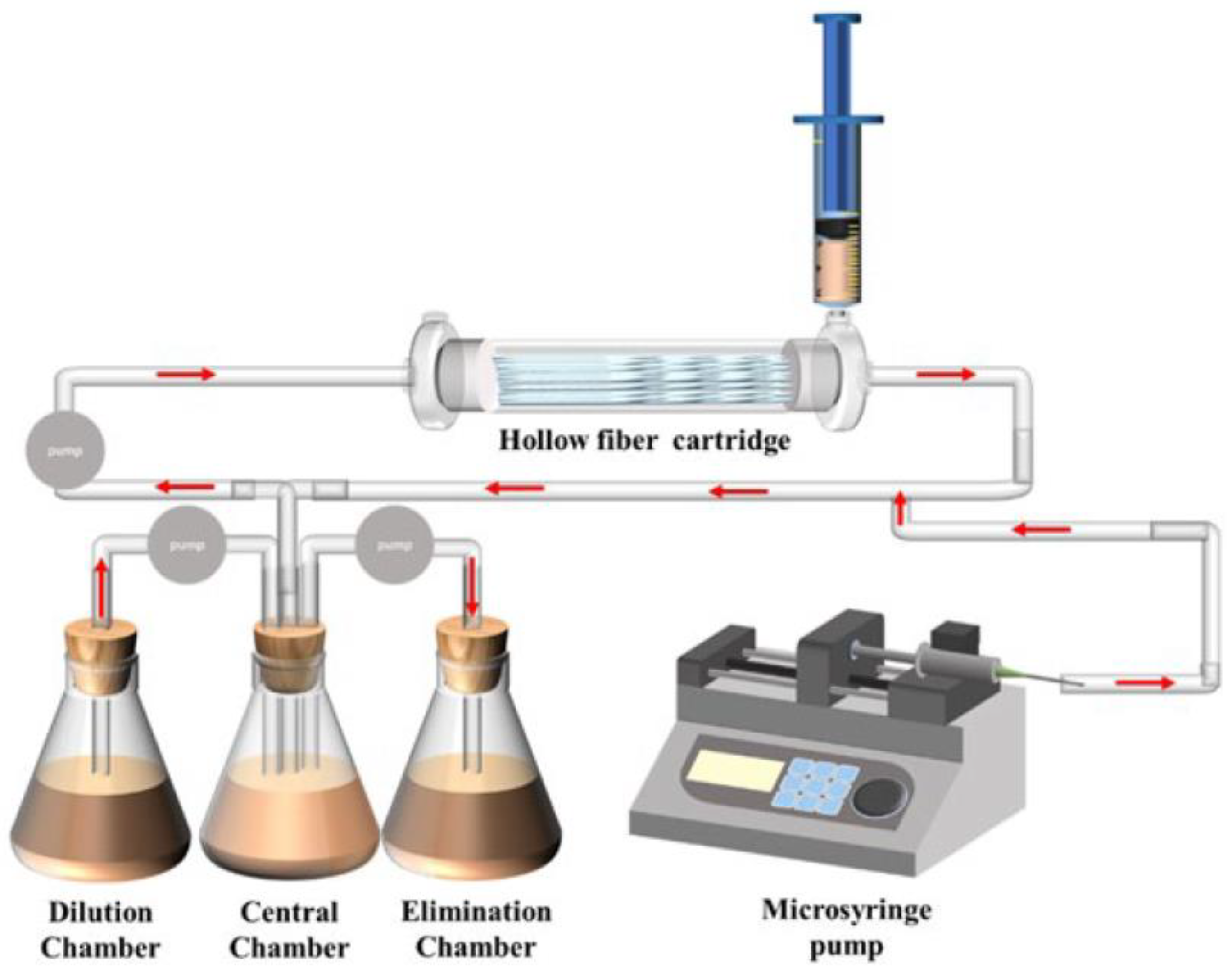 Metabolites 13 00897 g004