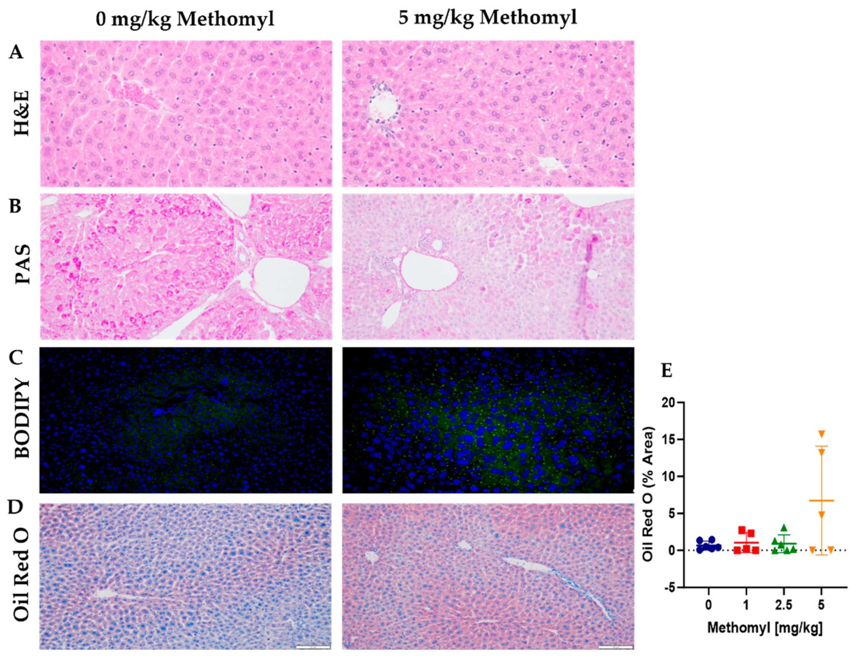 Metabolites 13 00901 g004