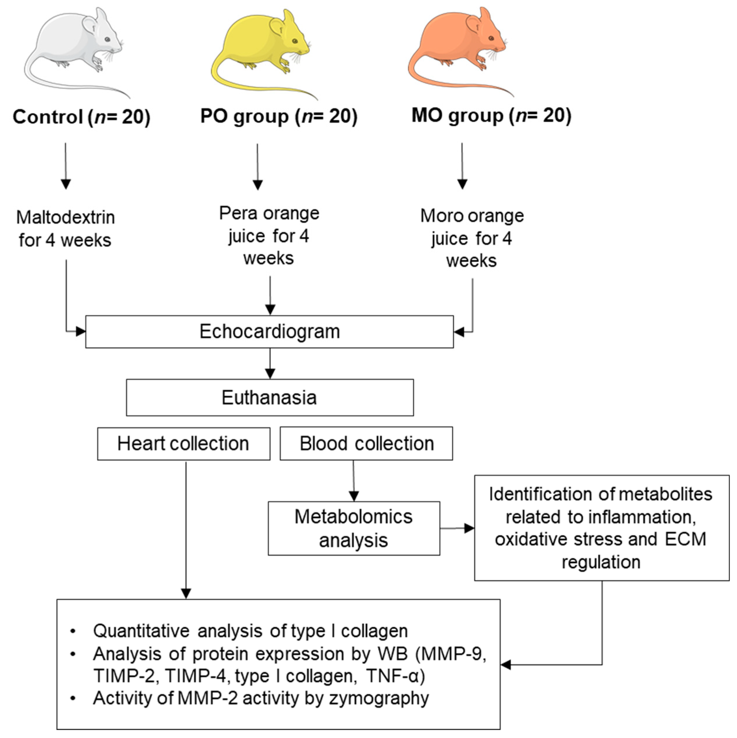 Metabolites 13 00902 g001