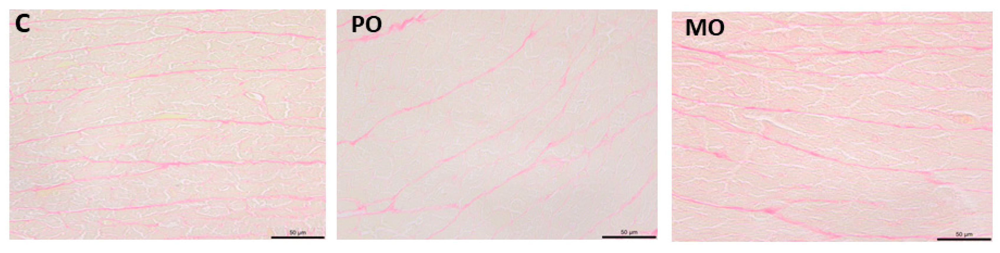 Metabolites 13 00902 g004