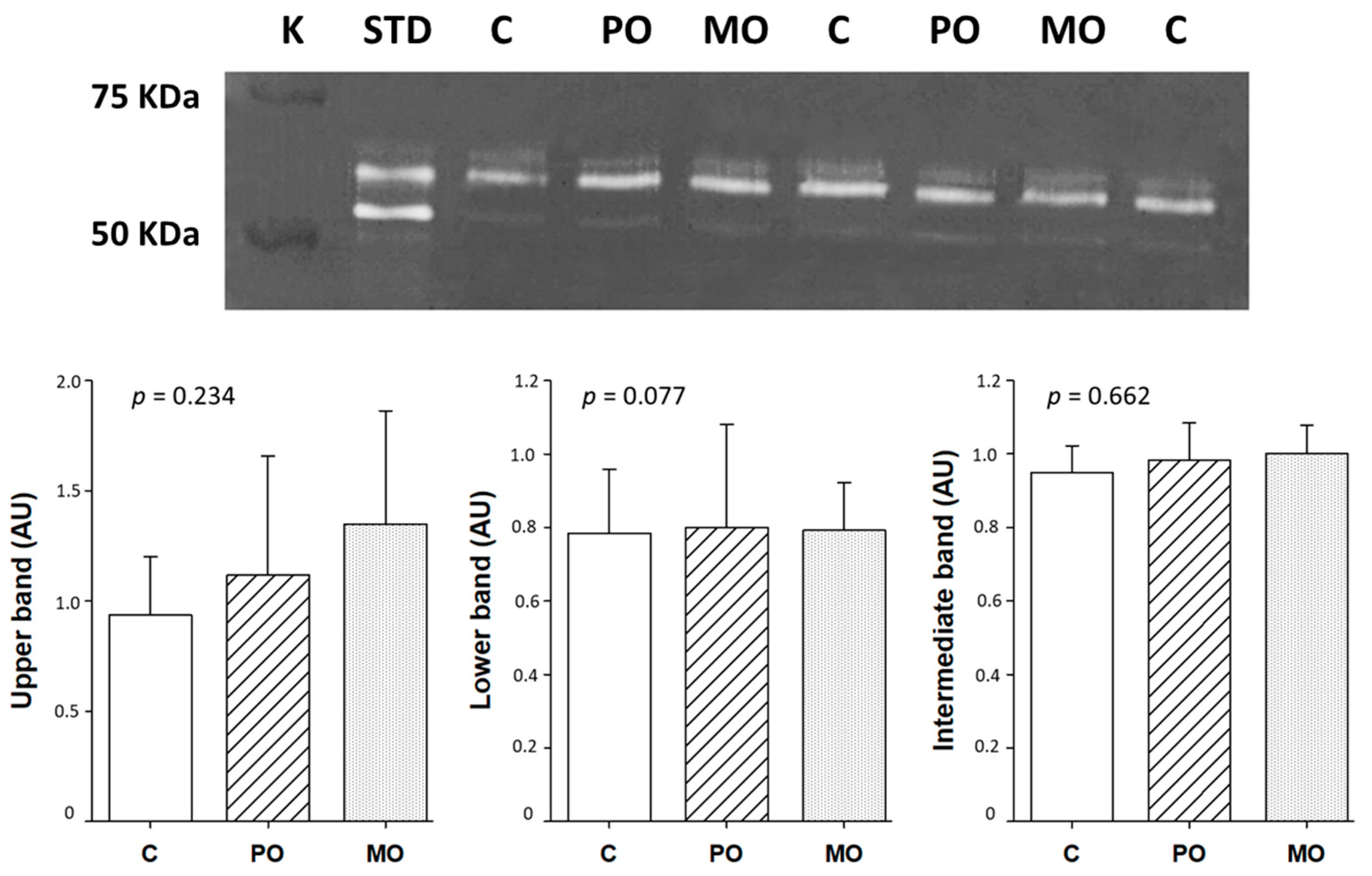 Metabolites 13 00902 g005