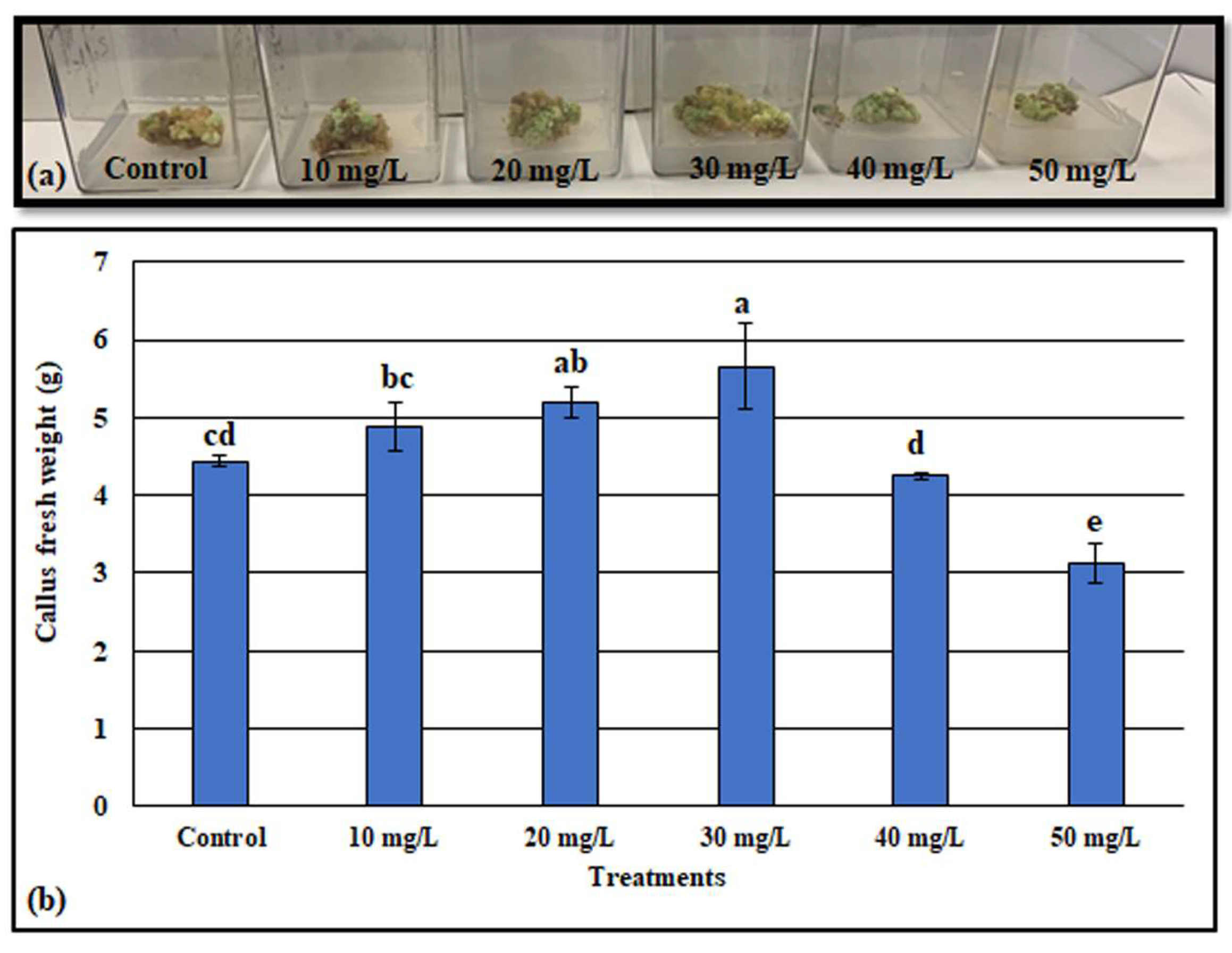 Metabolites 13 00905 g003