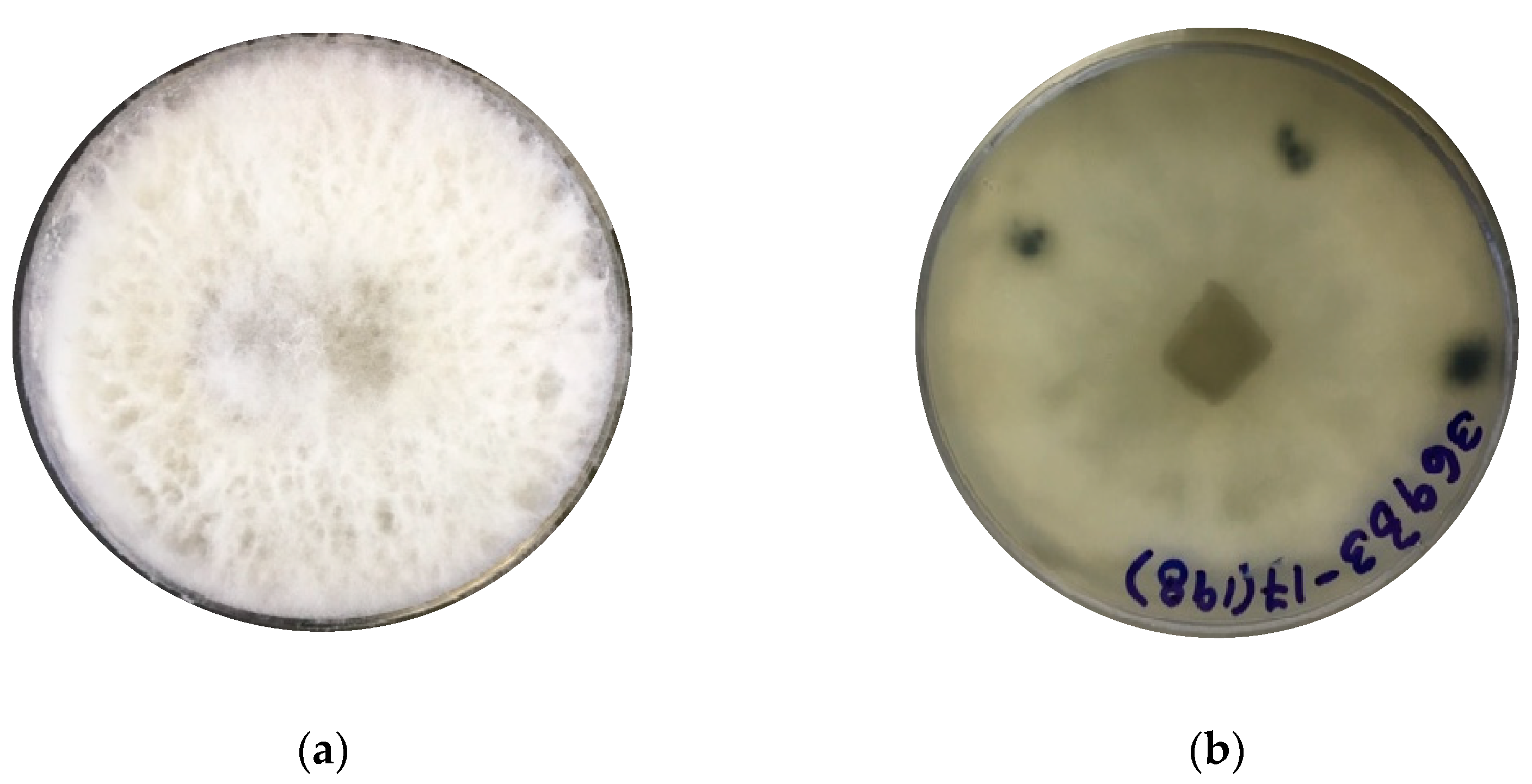 Metabolites 13 00912 g001a