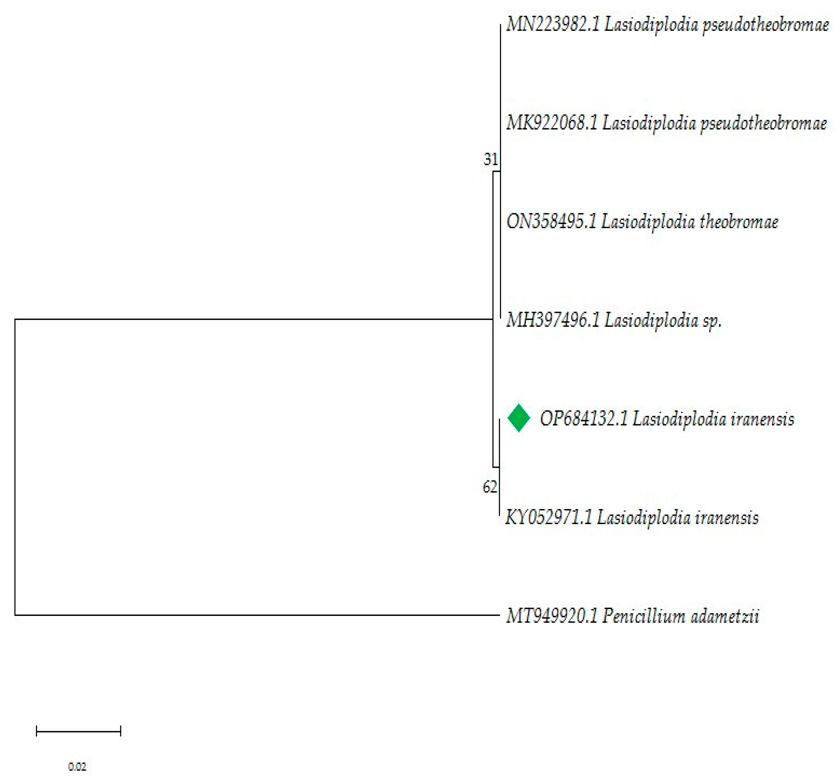 Metabolites 13 00912 g002
