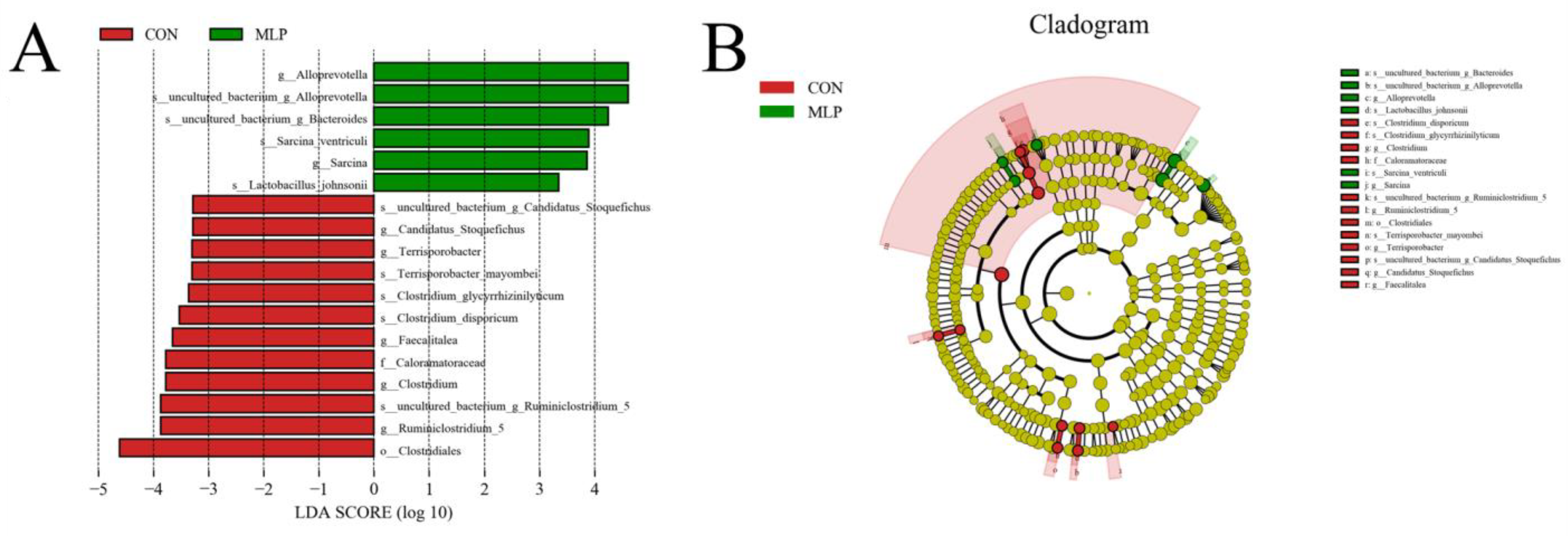Metabolites 13 00918 g008