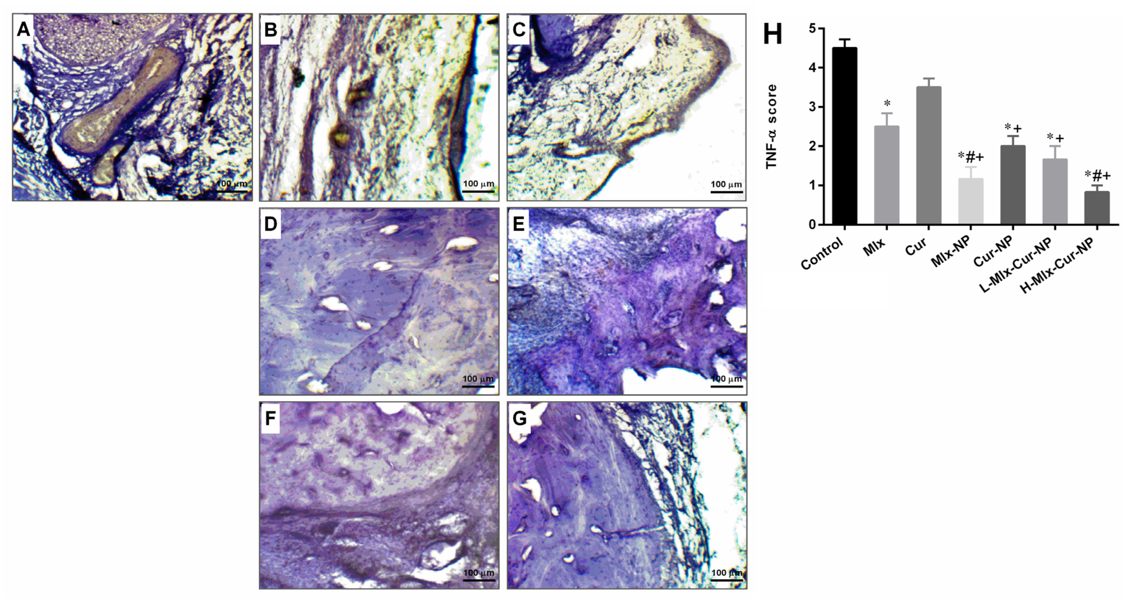 Metabolites 13 00935 g009