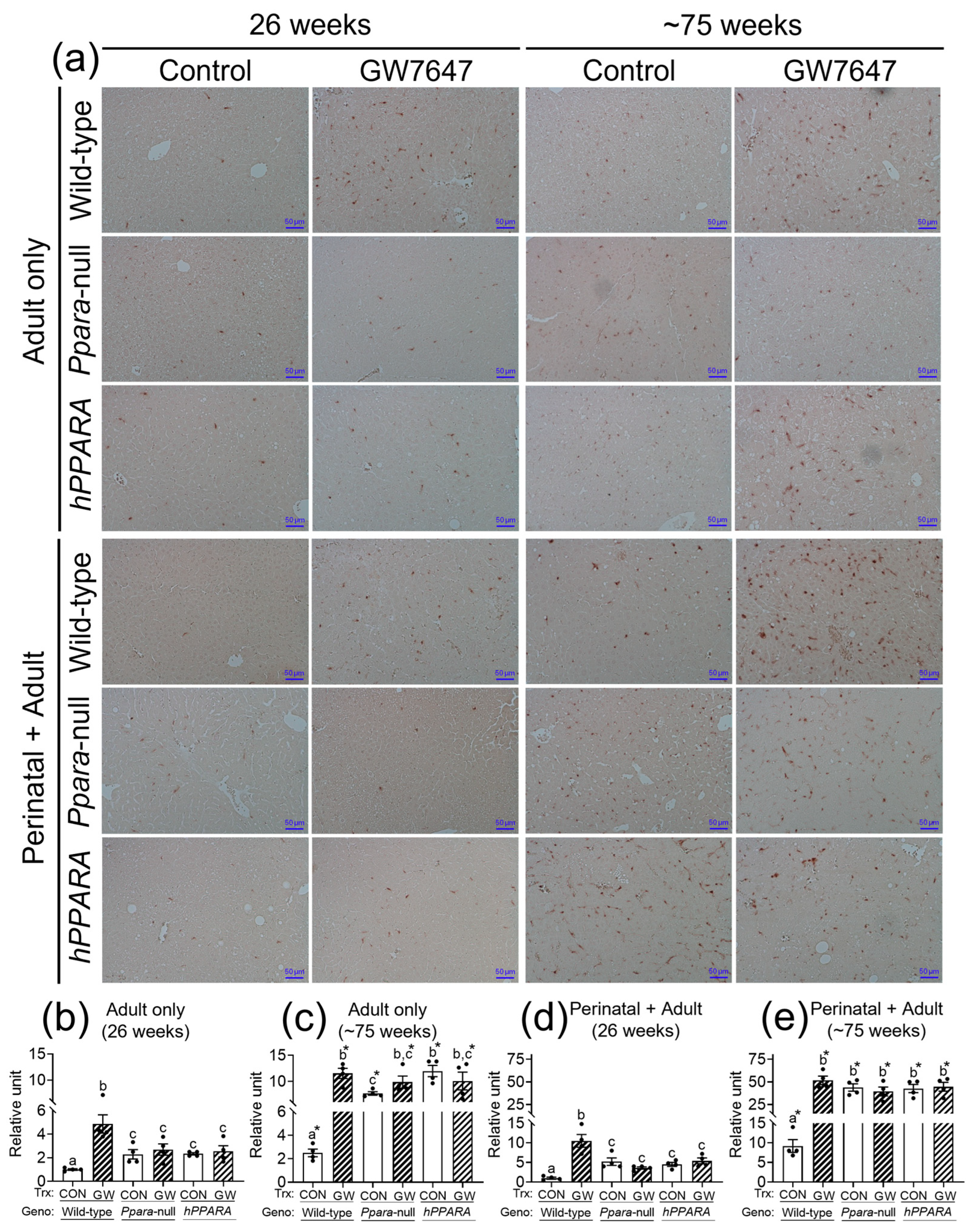 Metabolites 13 00936 g005