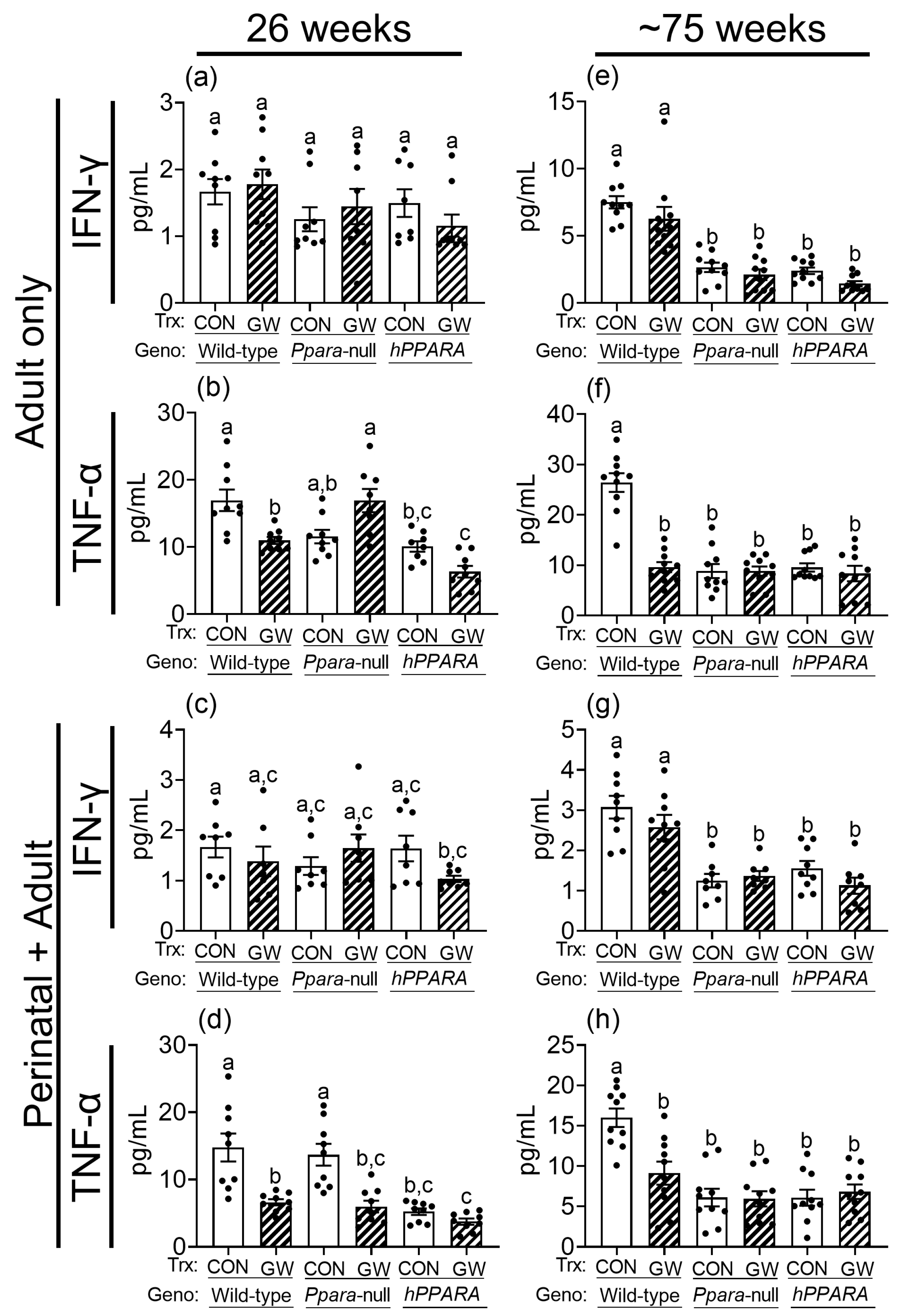 Metabolites 13 00936 g007