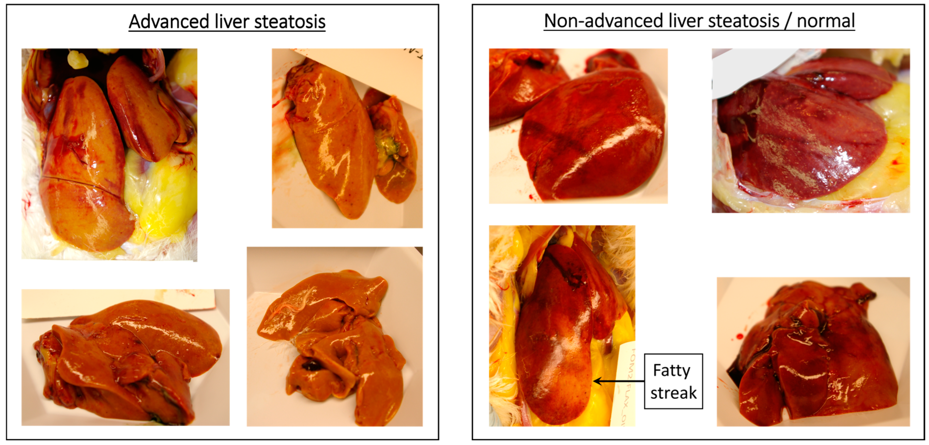 Metabolites 13 00945 g003