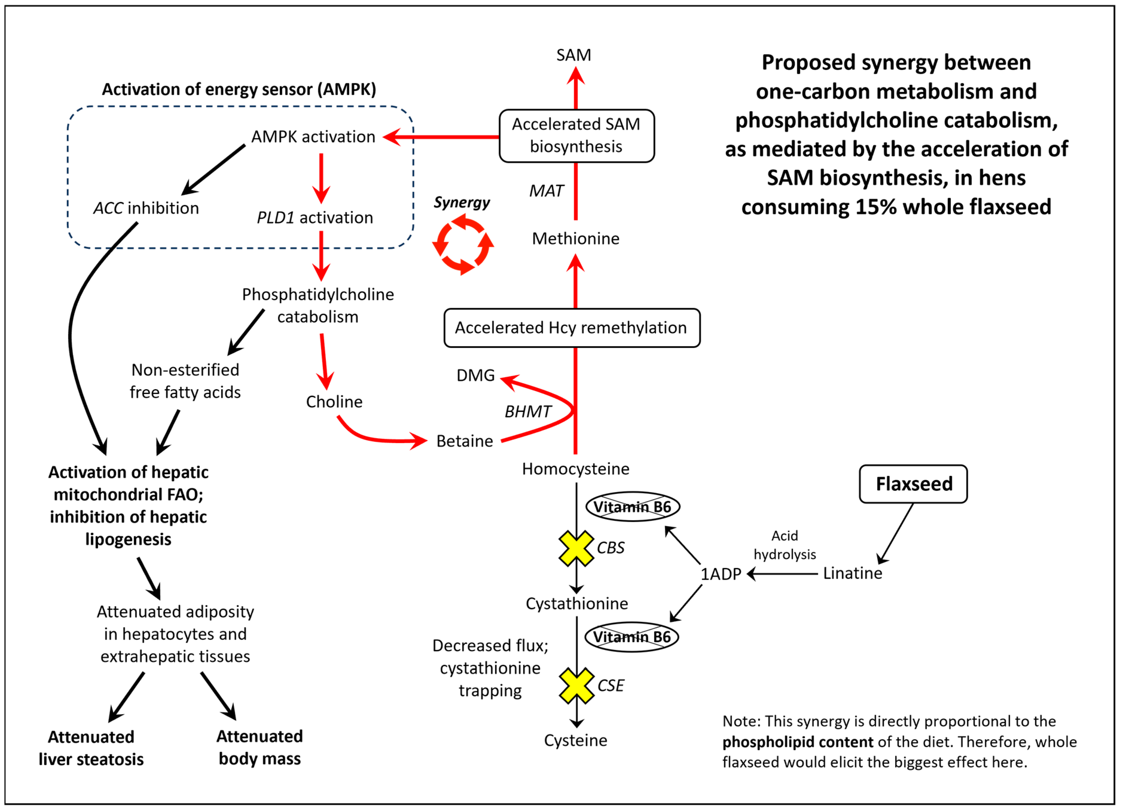 Metabolites 13 00945 g009