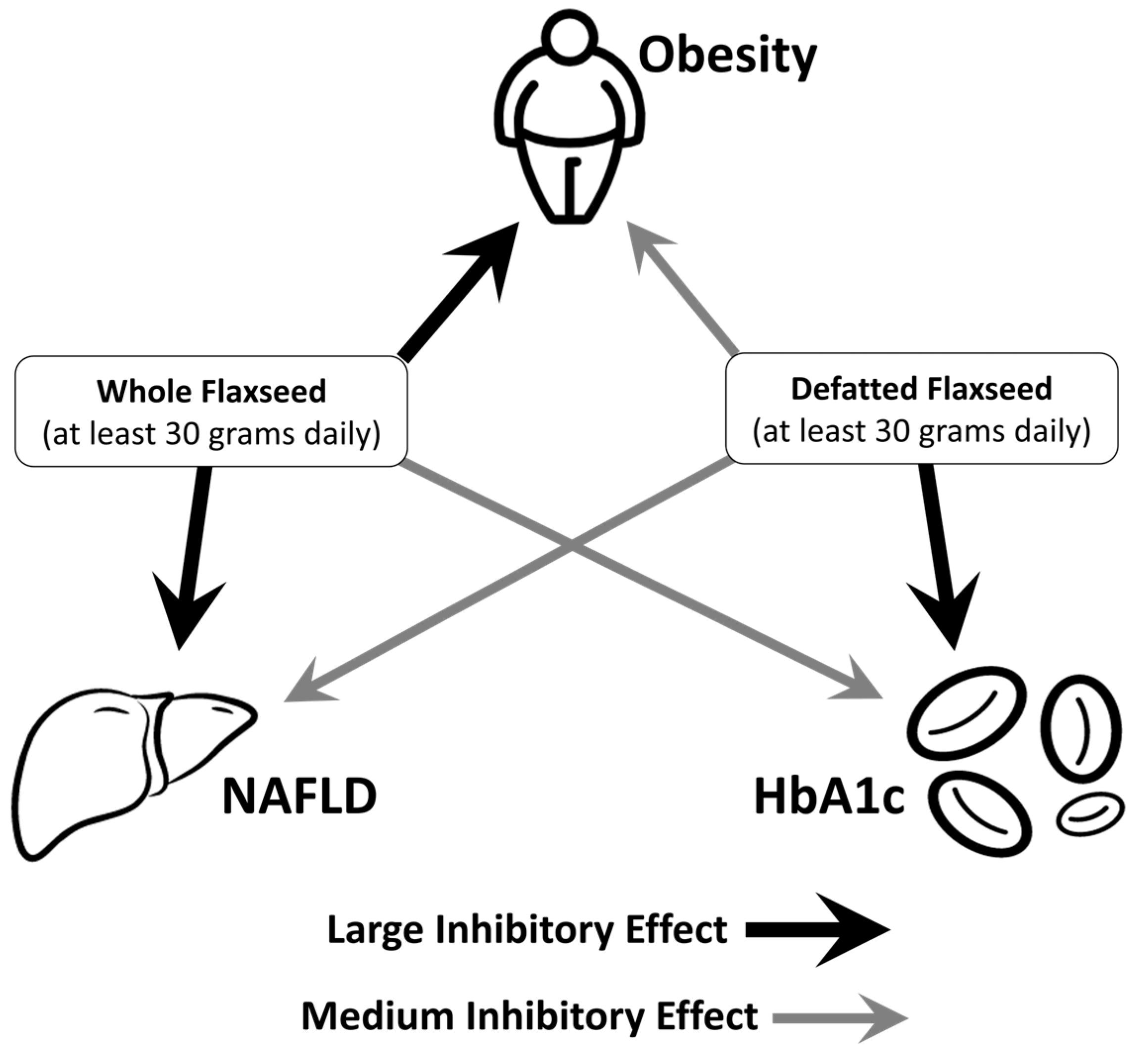 Metabolites 13 00945 g010