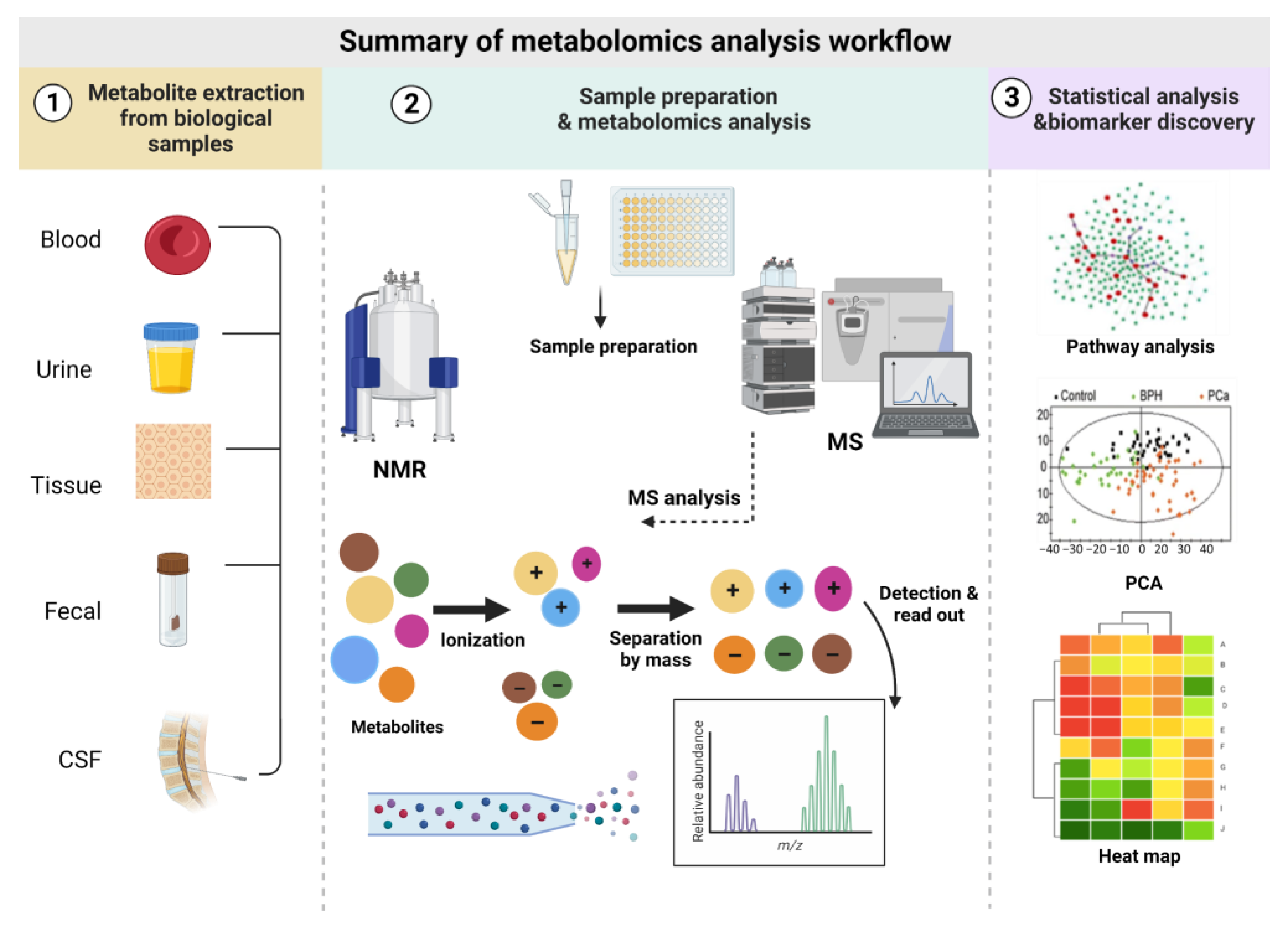 Metabolites 13 00948 g001