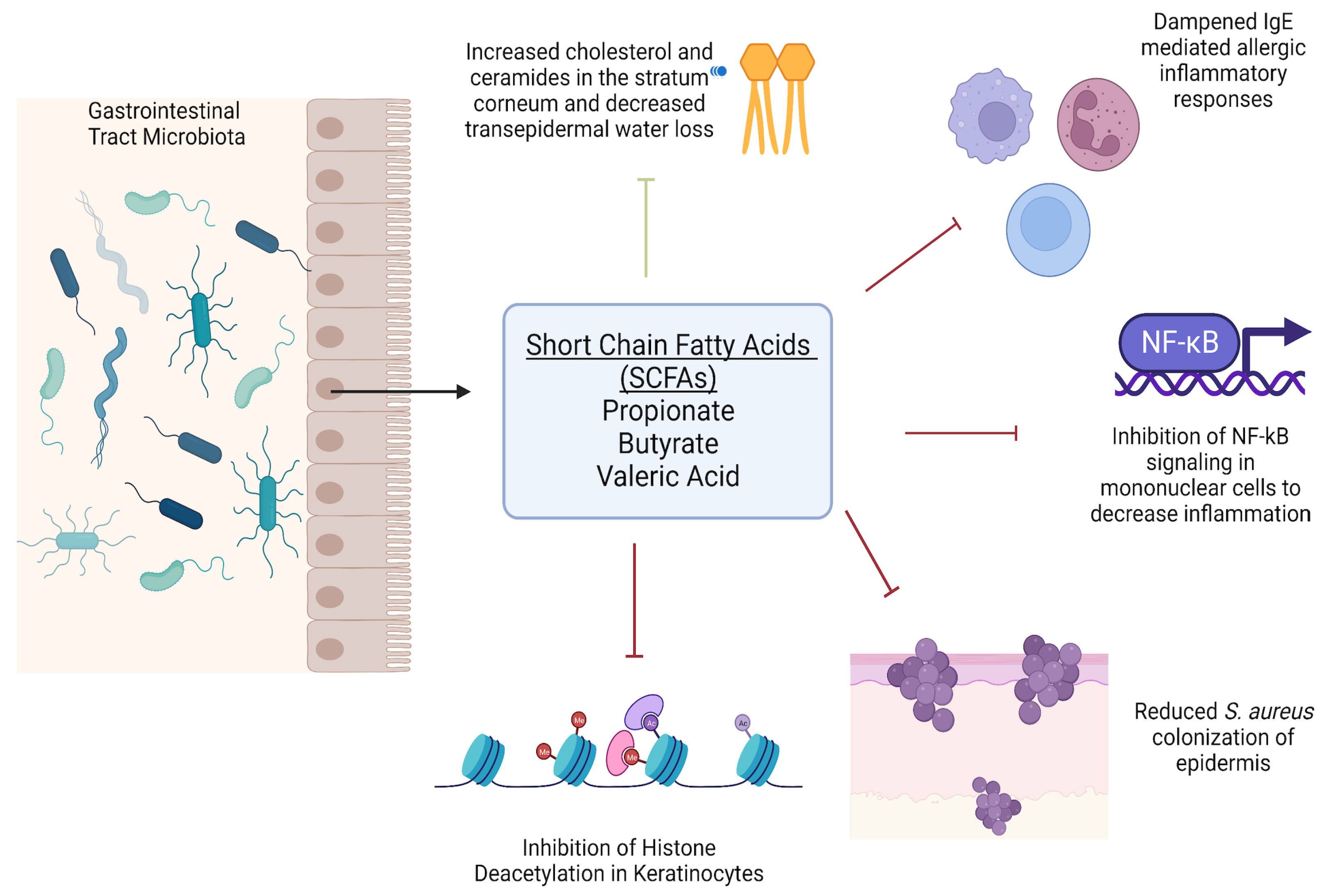 Metabolites 13 00952 g001