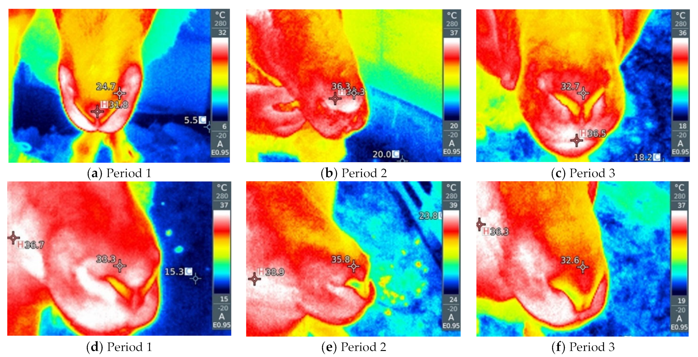 Metabolites 13 00957 g002