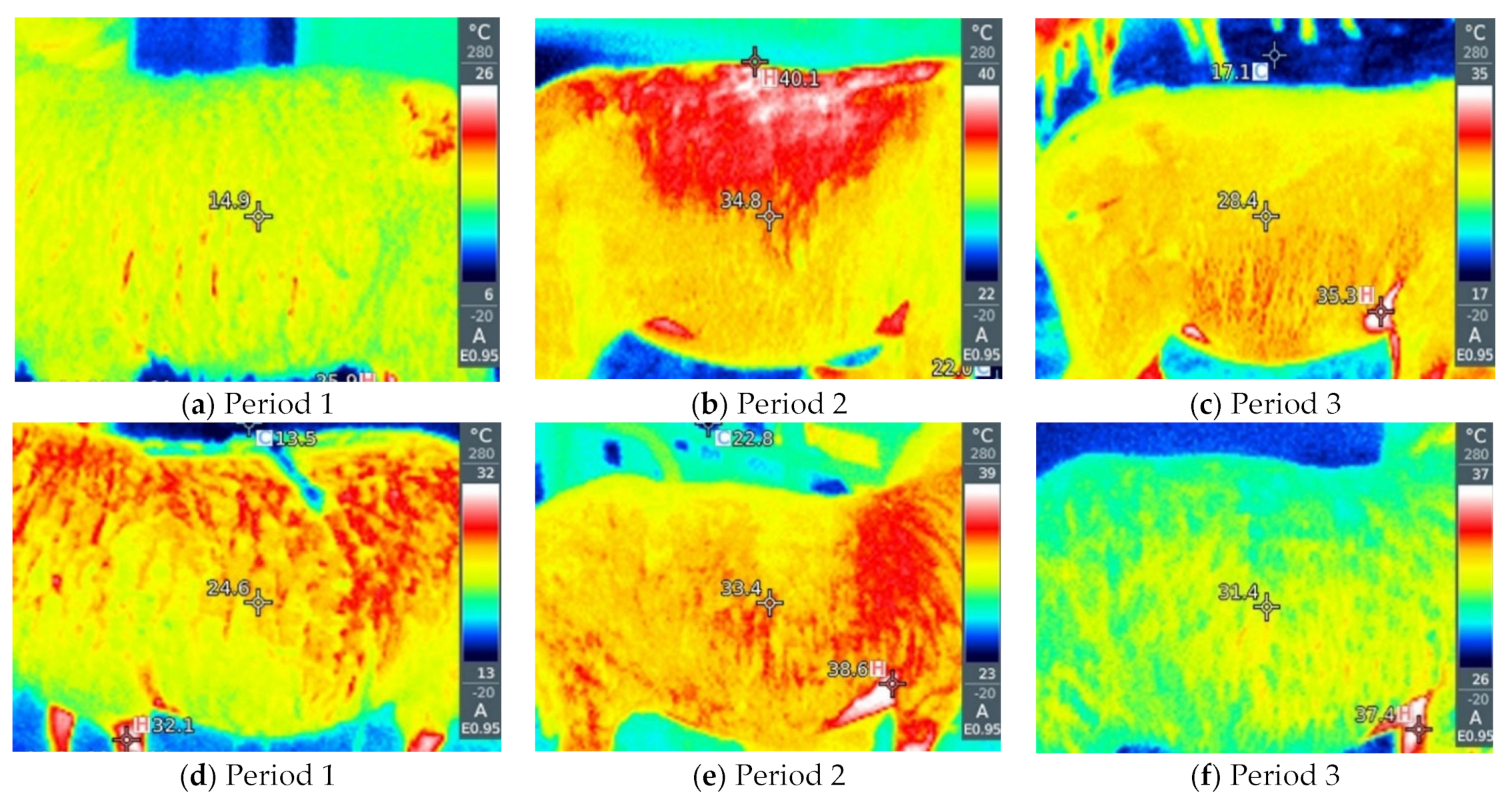 Metabolites 13 00957 g005