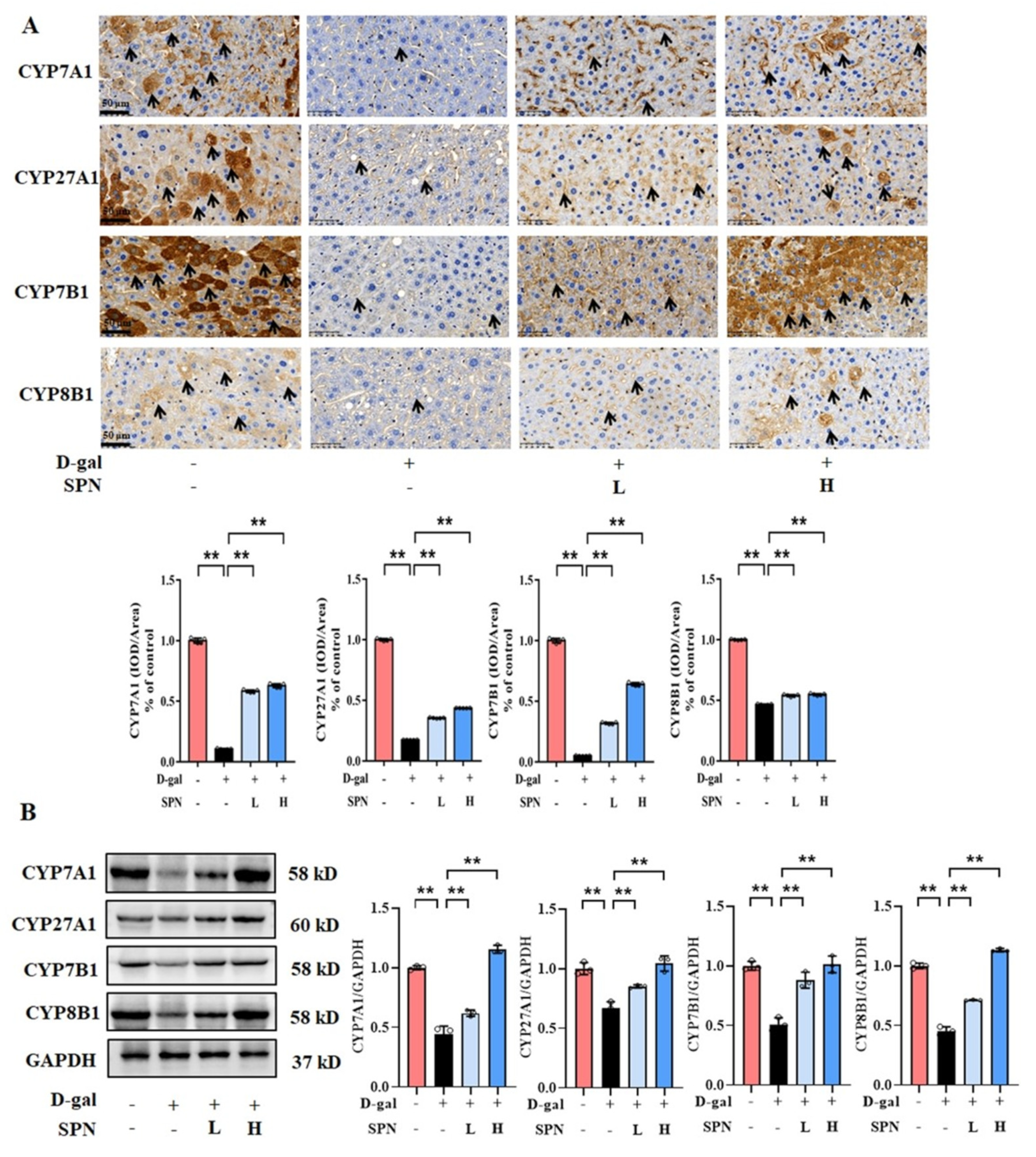 Metabolites 13 00960 g004