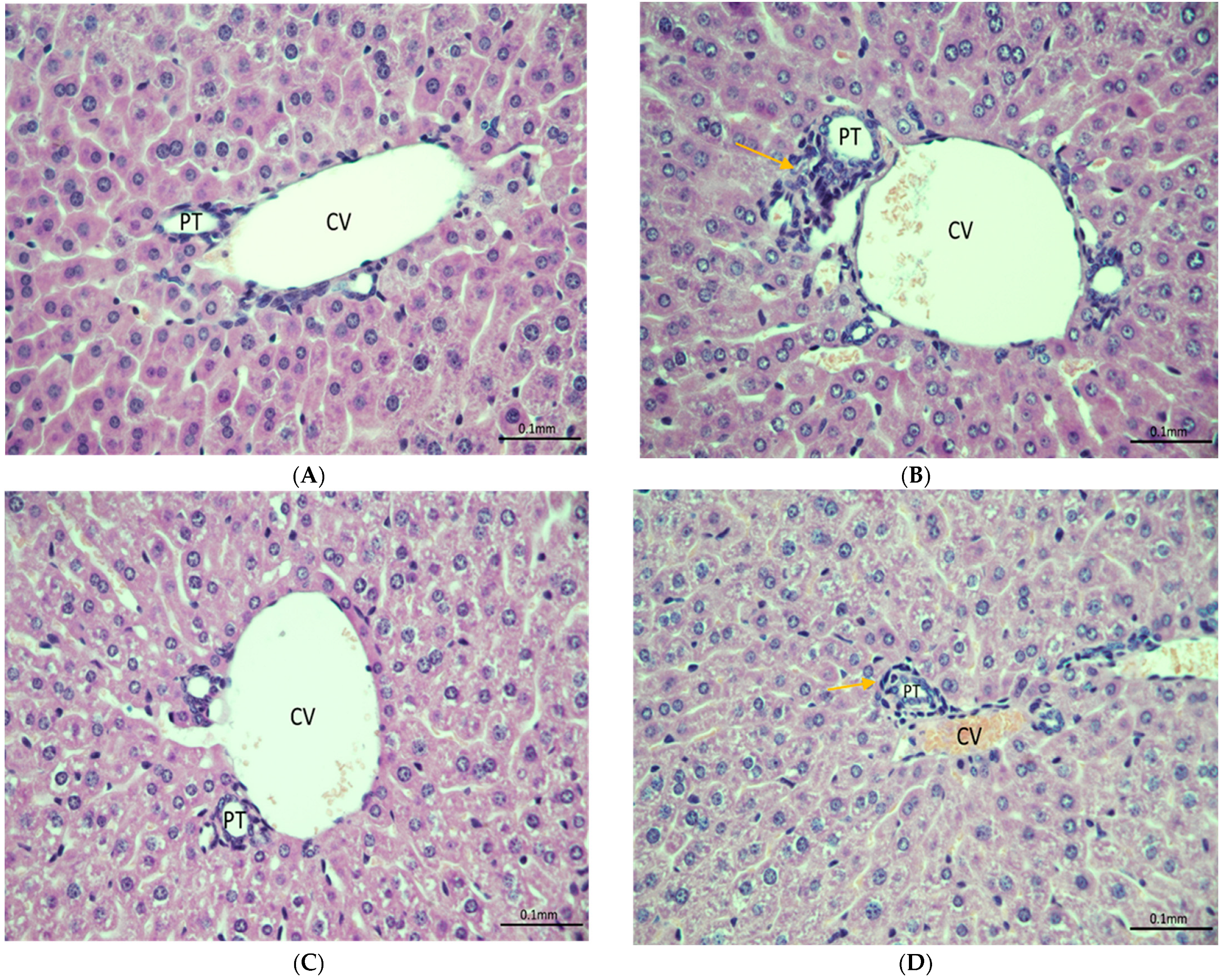 Metabolites 13 00965 g007