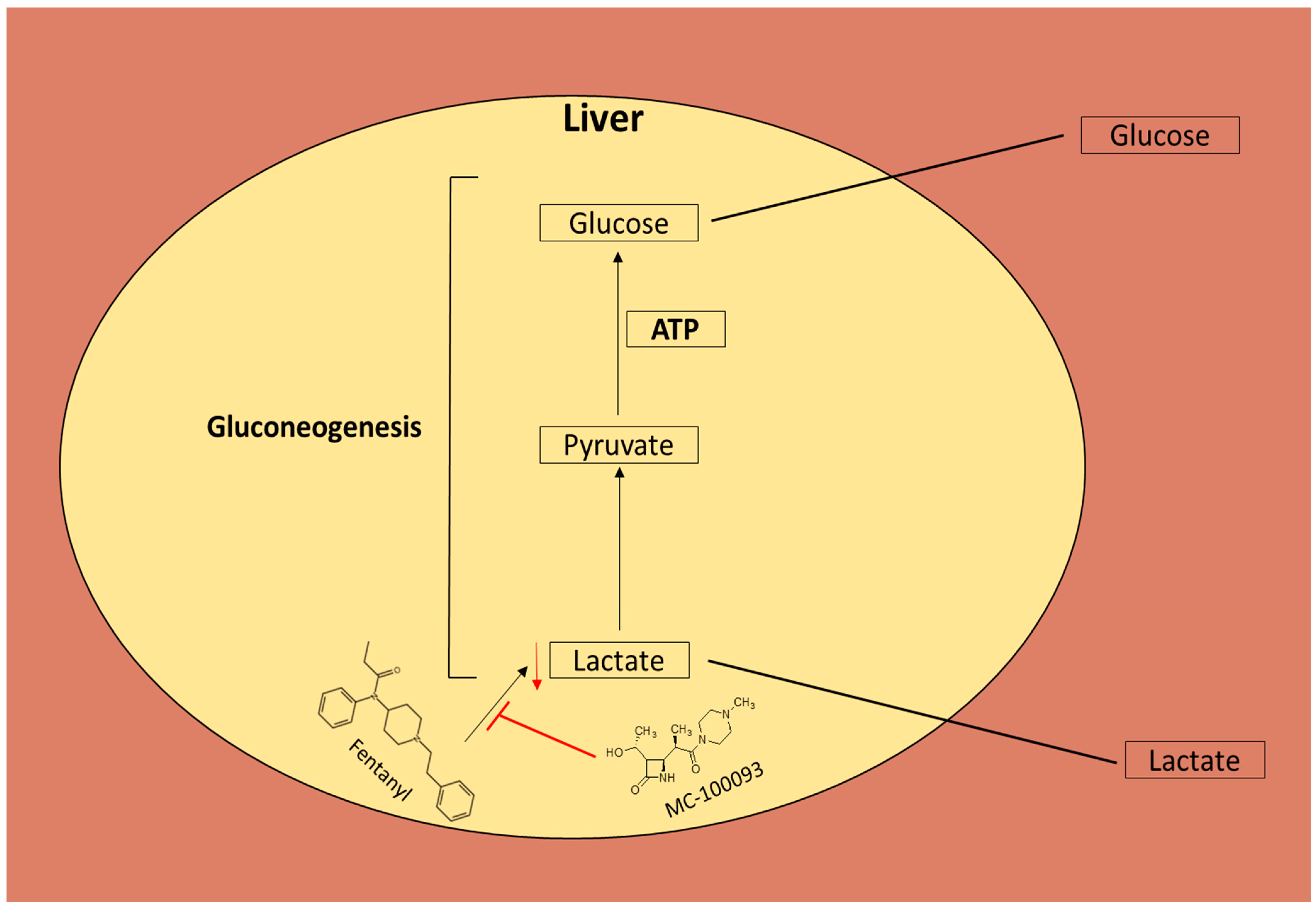 Metabolites 13 00965 g009