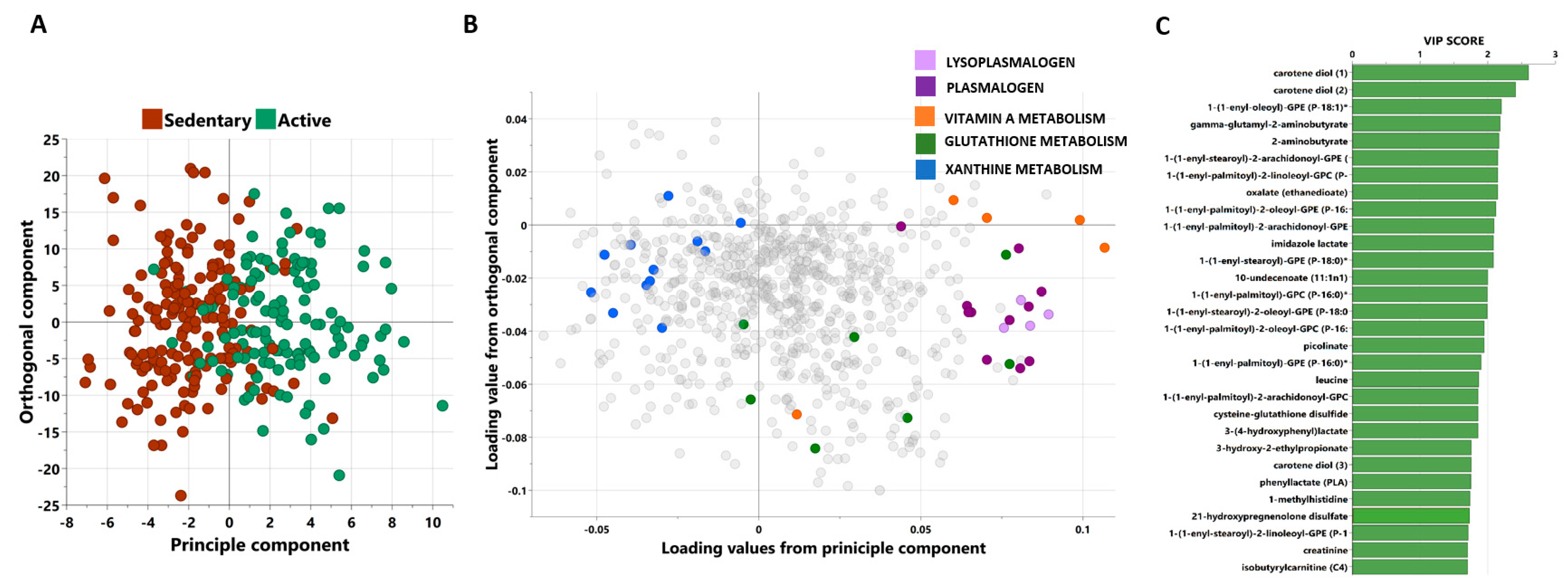 Metabolites 13 00973 g001