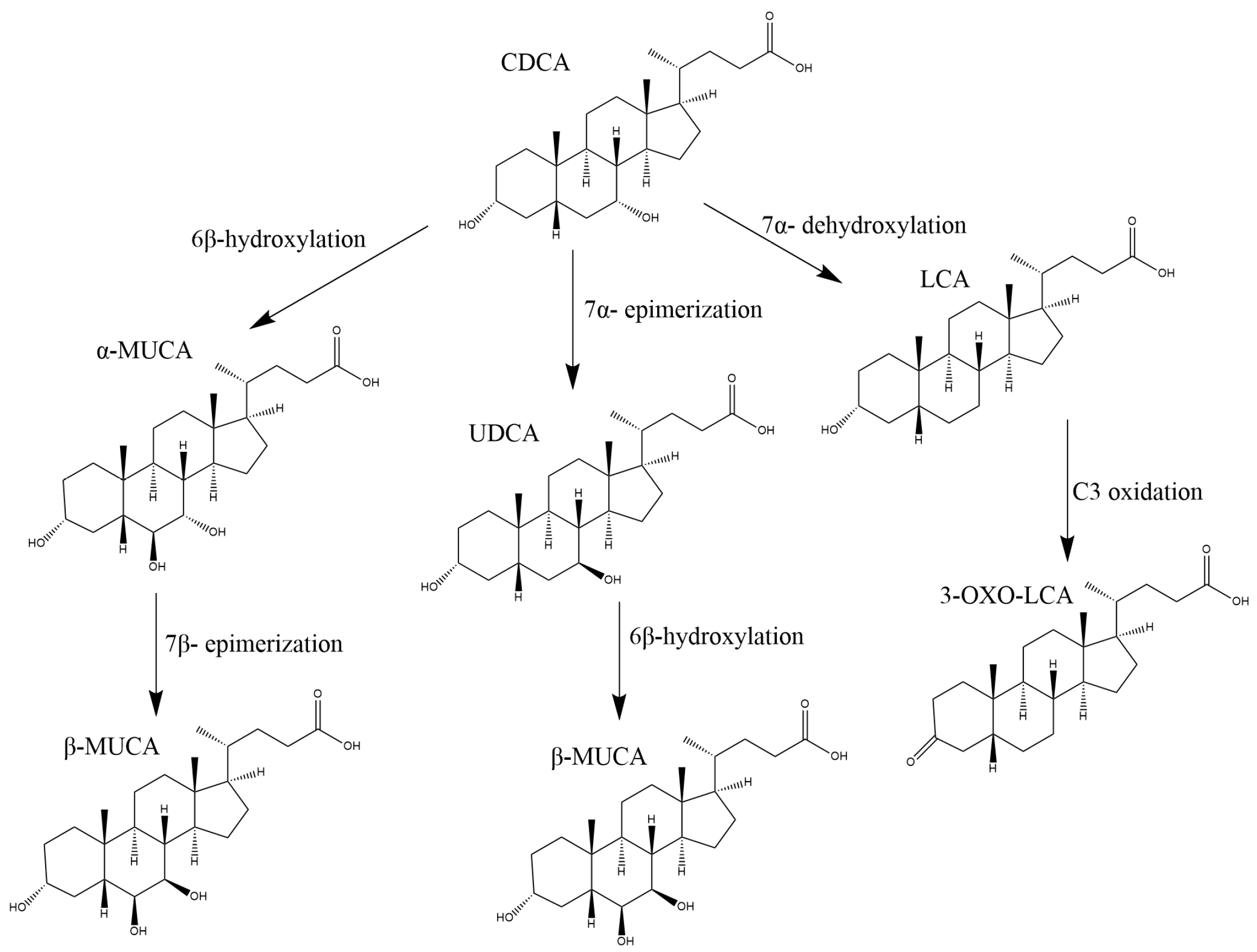 Metabolites 13 00980 g003