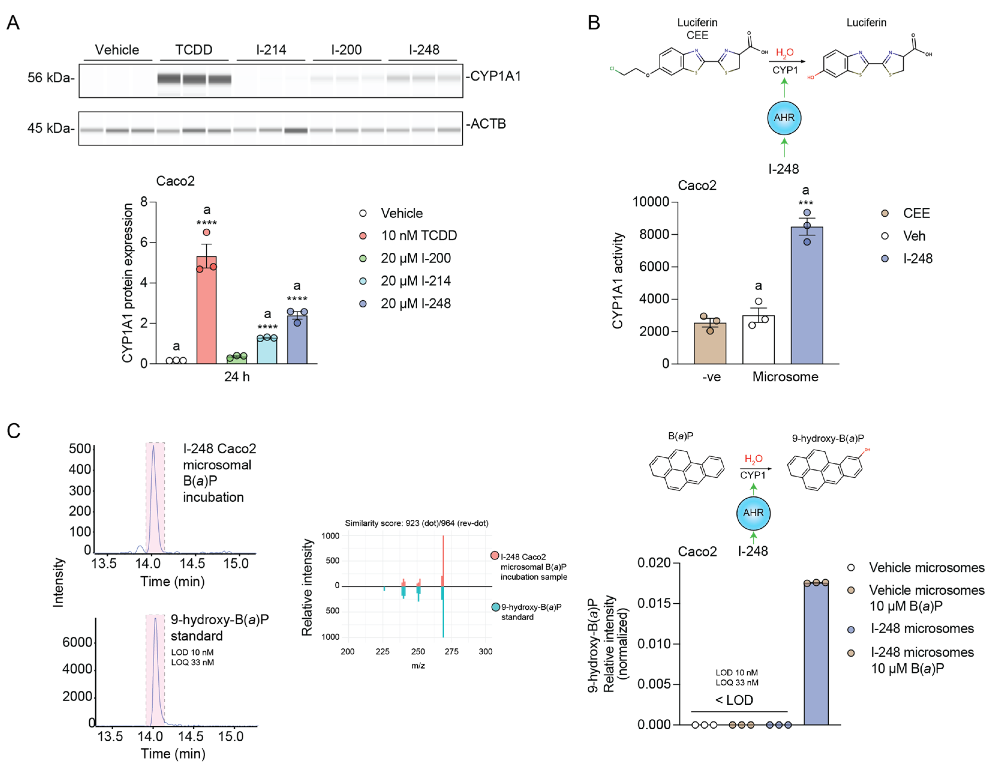 Metabolites 13 00985 g005