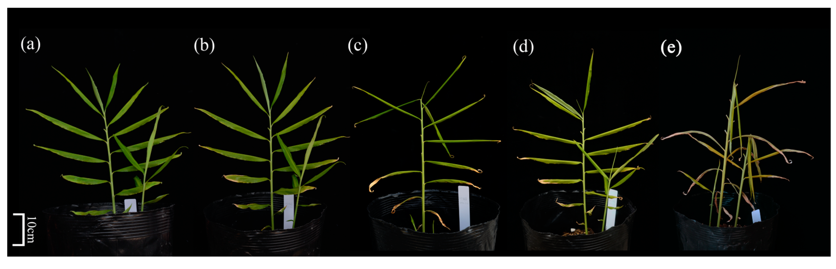 Metabolites 13 00992 g001