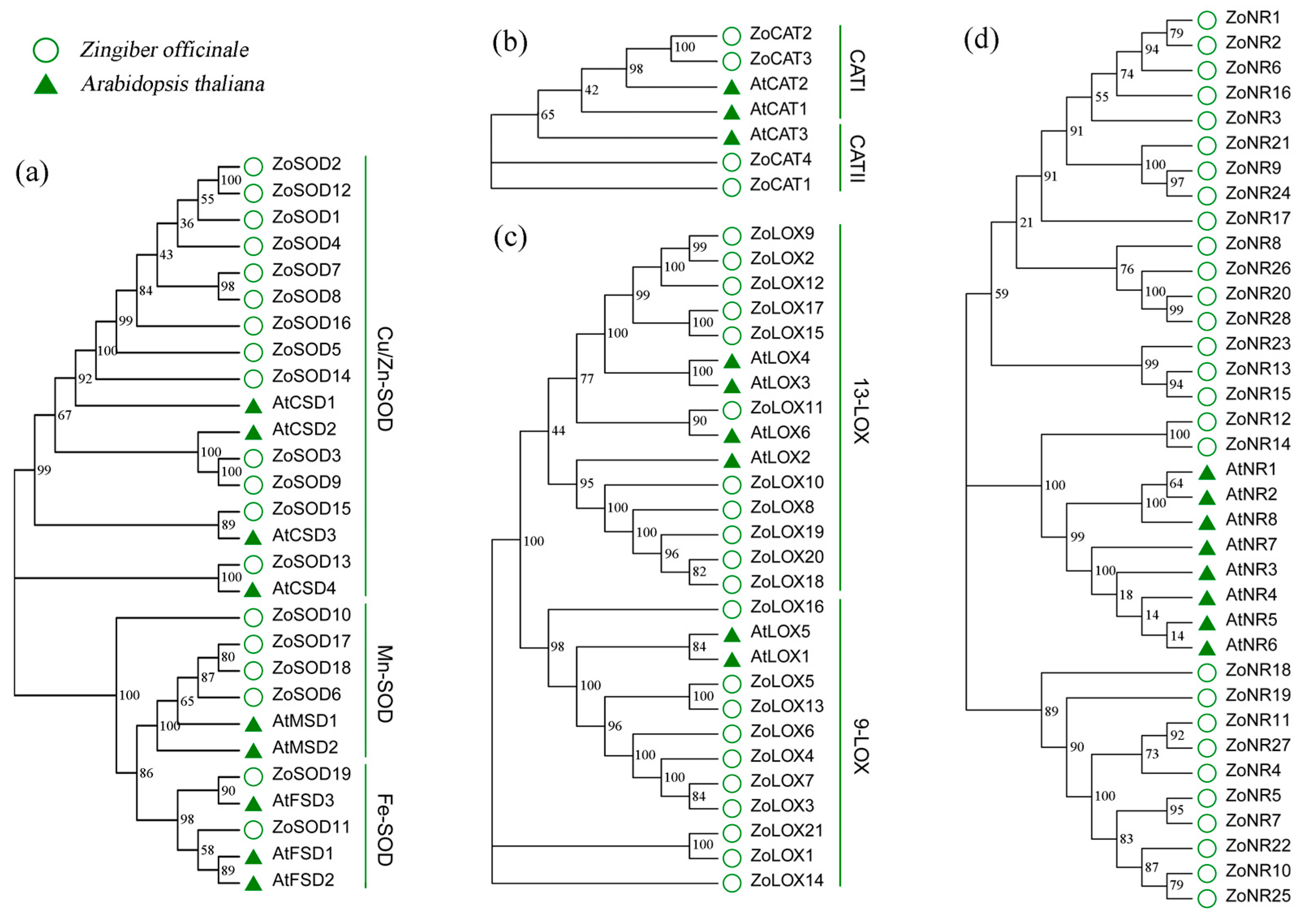 Metabolites 13 00992 g004