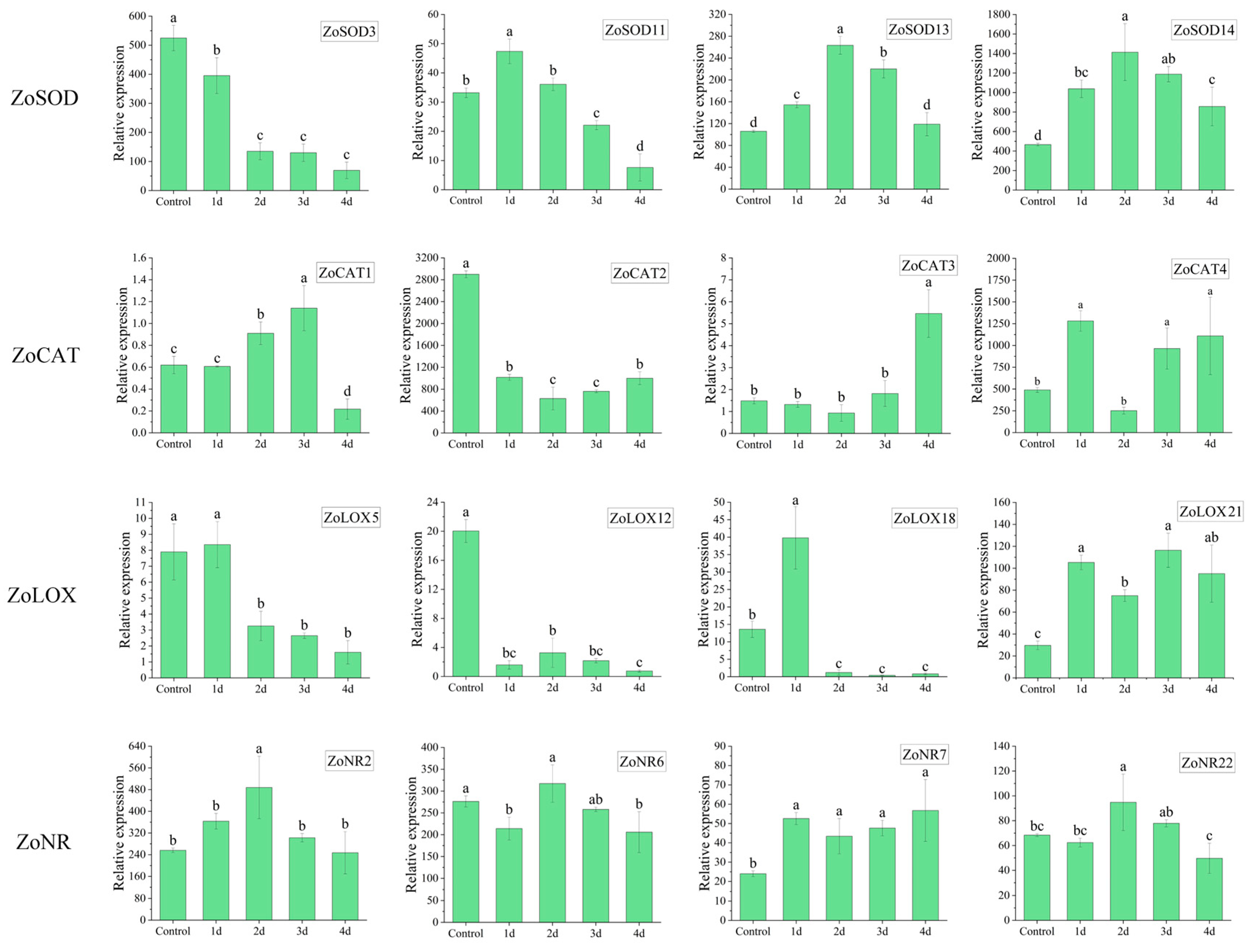 Metabolites 13 00992 g005